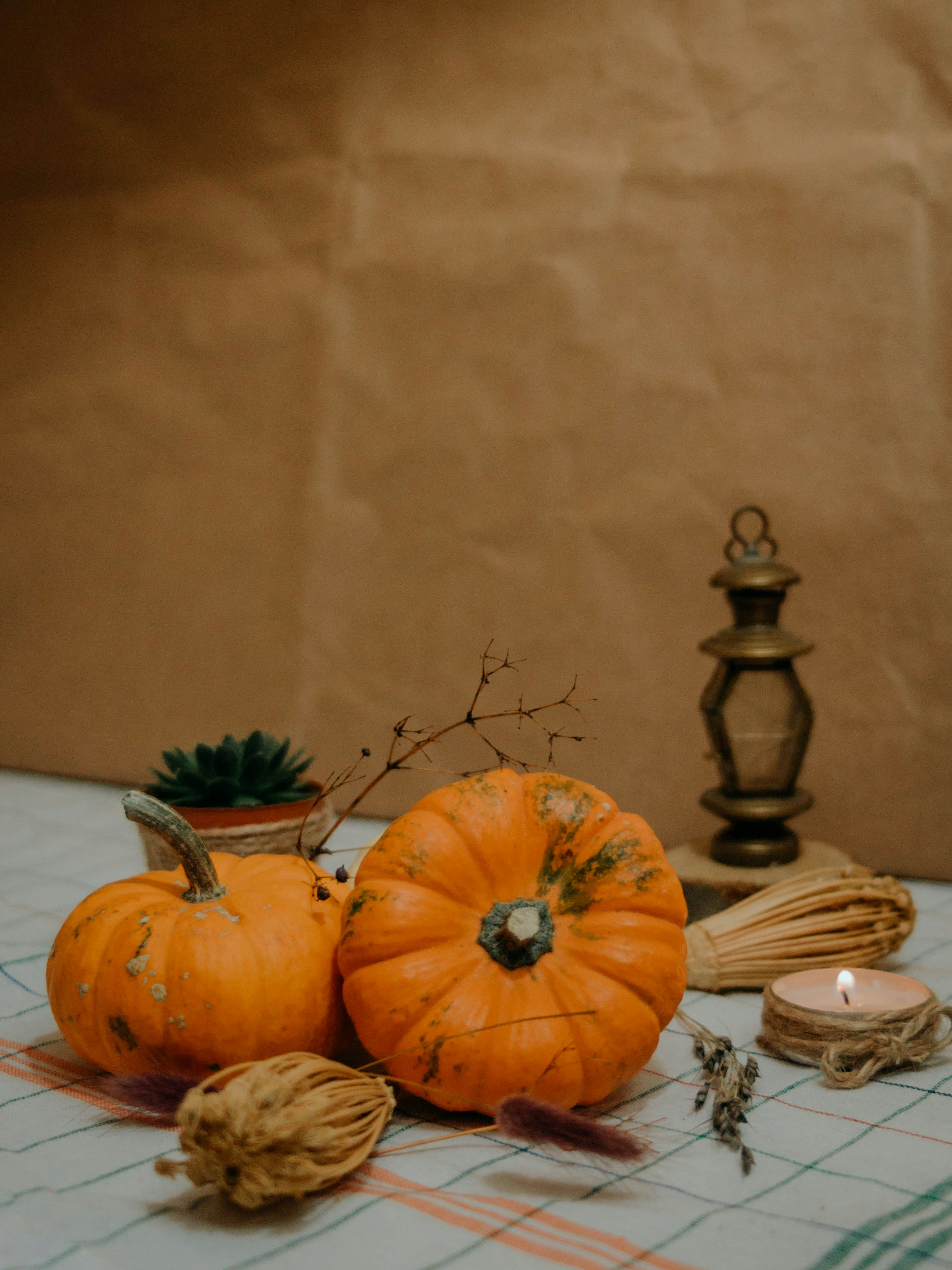 Photo by yigitaliatasoy