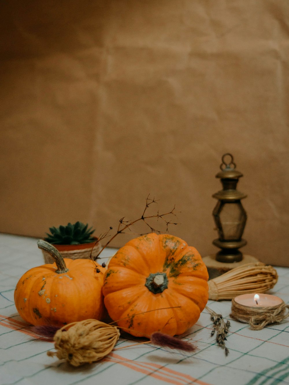 a table topped with lots of different types of pumpkins