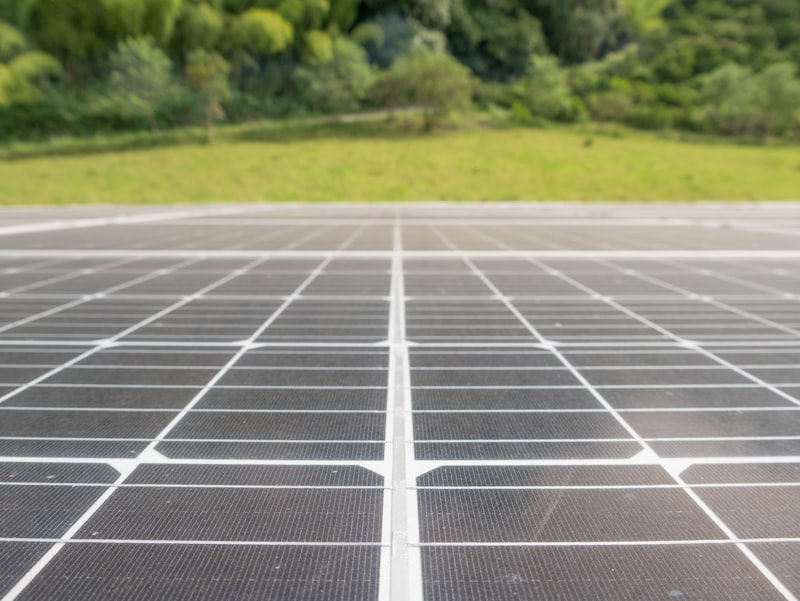 Nahaufnahme von Solarpanelen mit Baumblick