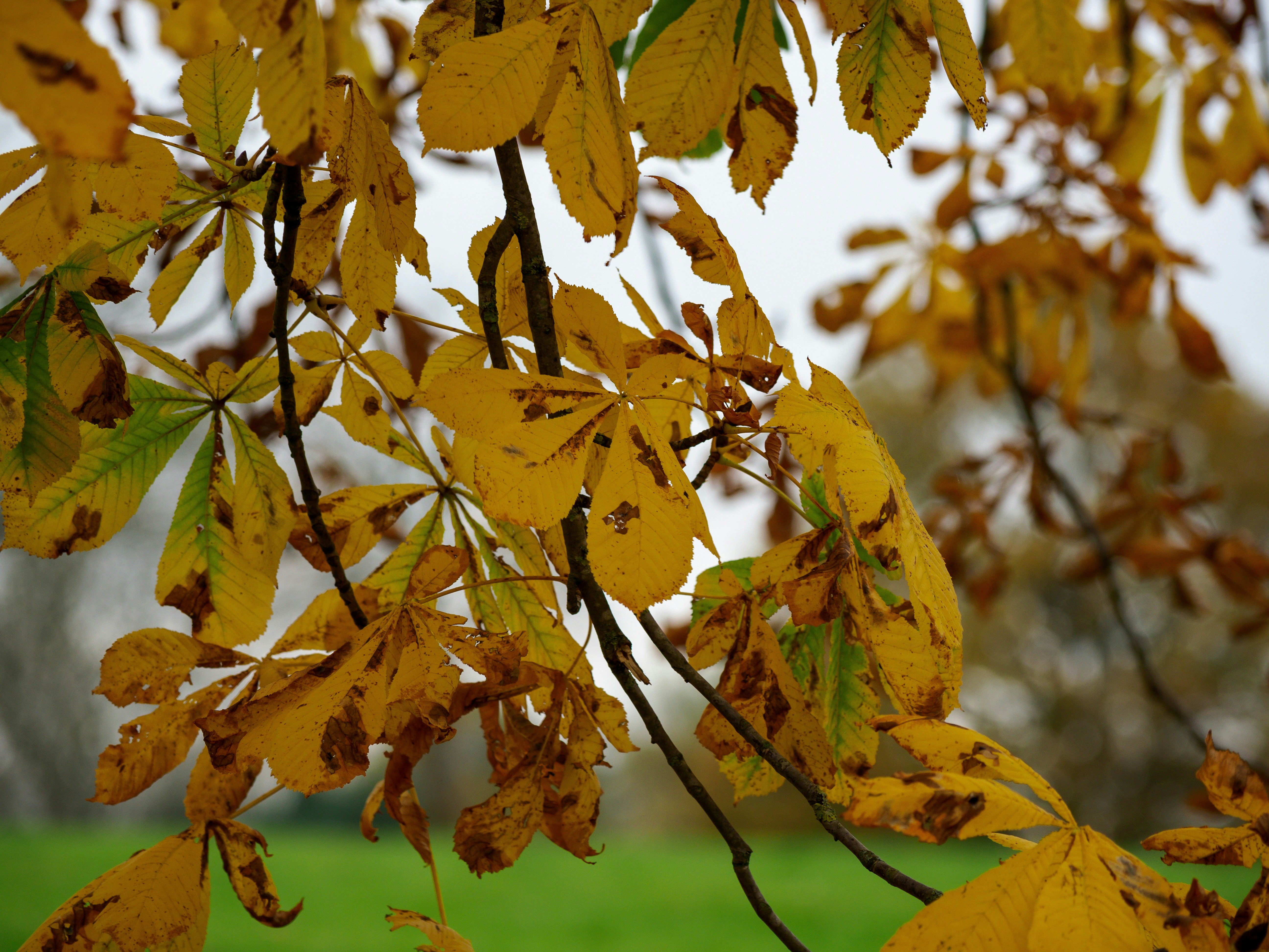 Photo by brett_jordan