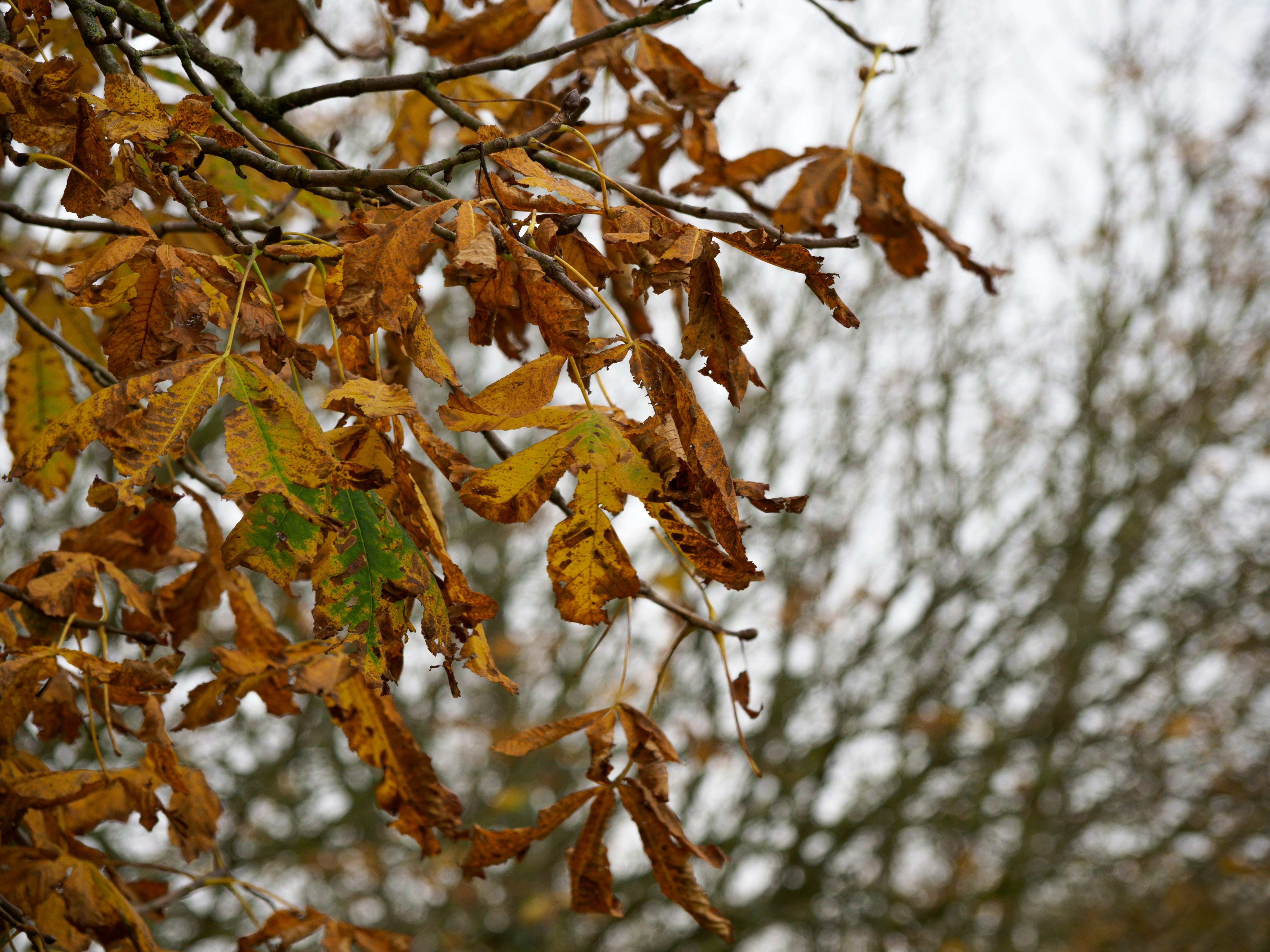 Photo by brett_jordan