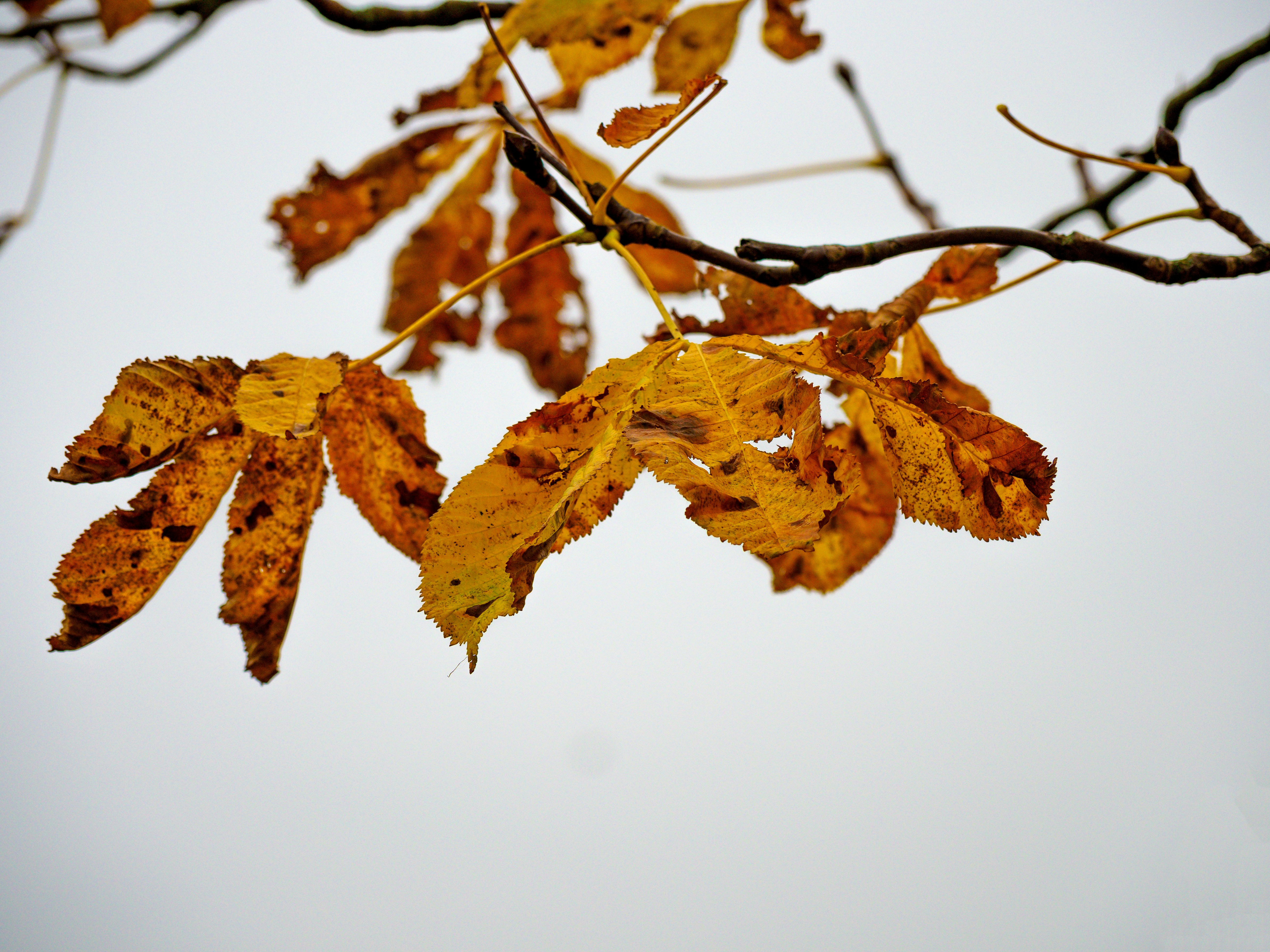 Photo by brett_jordan