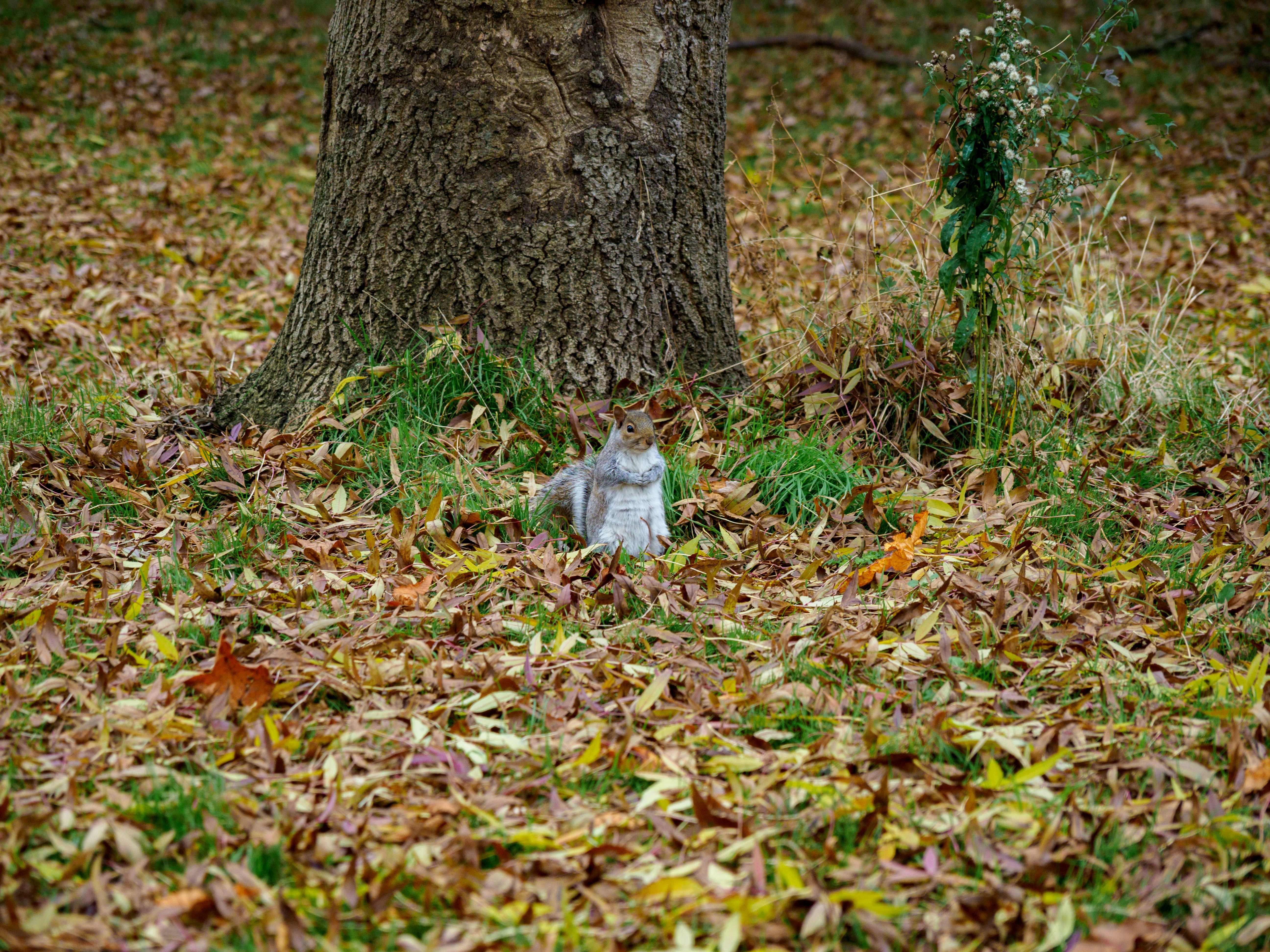 Photo by brett_jordan