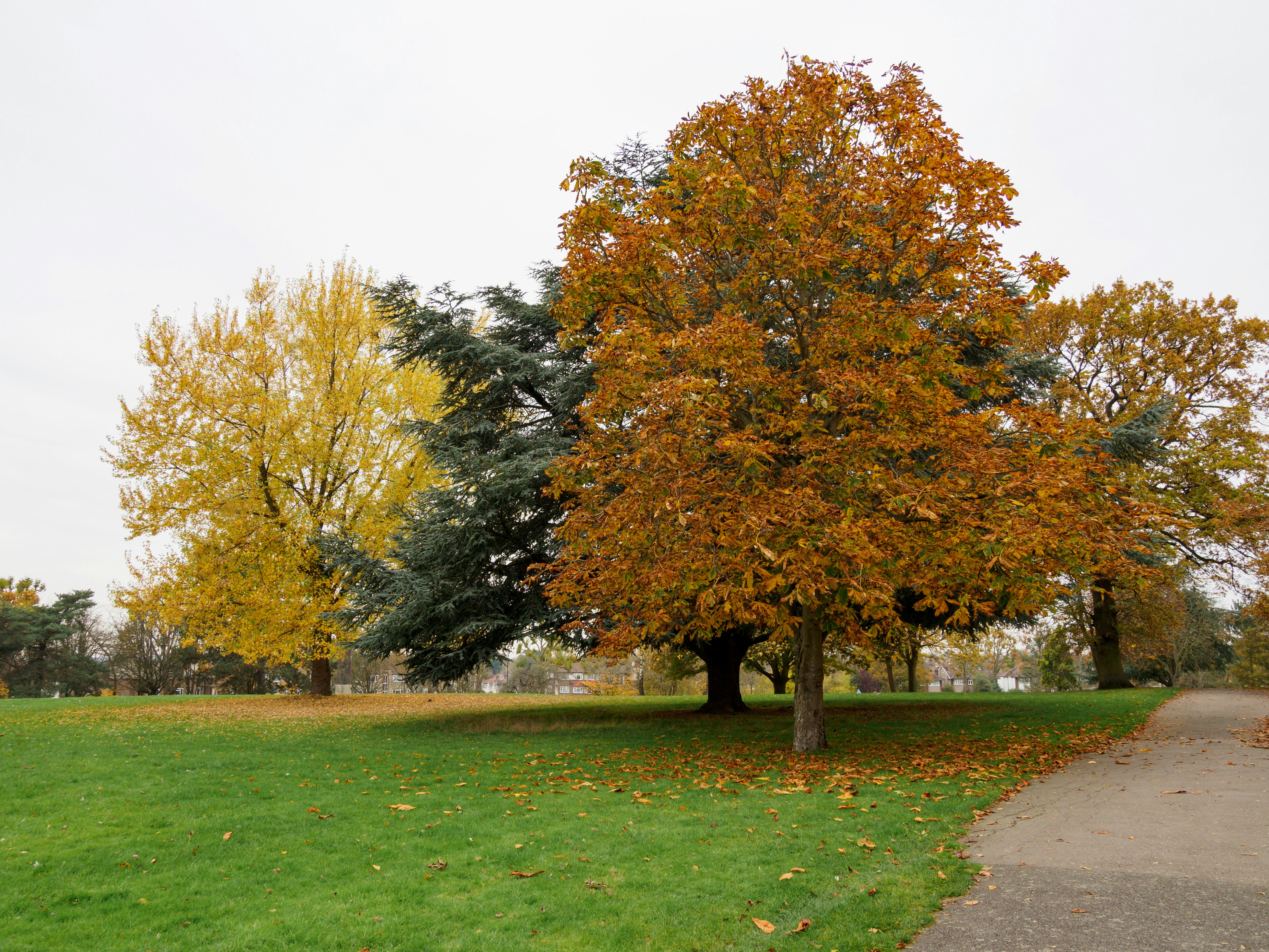 Photo by brett_jordan