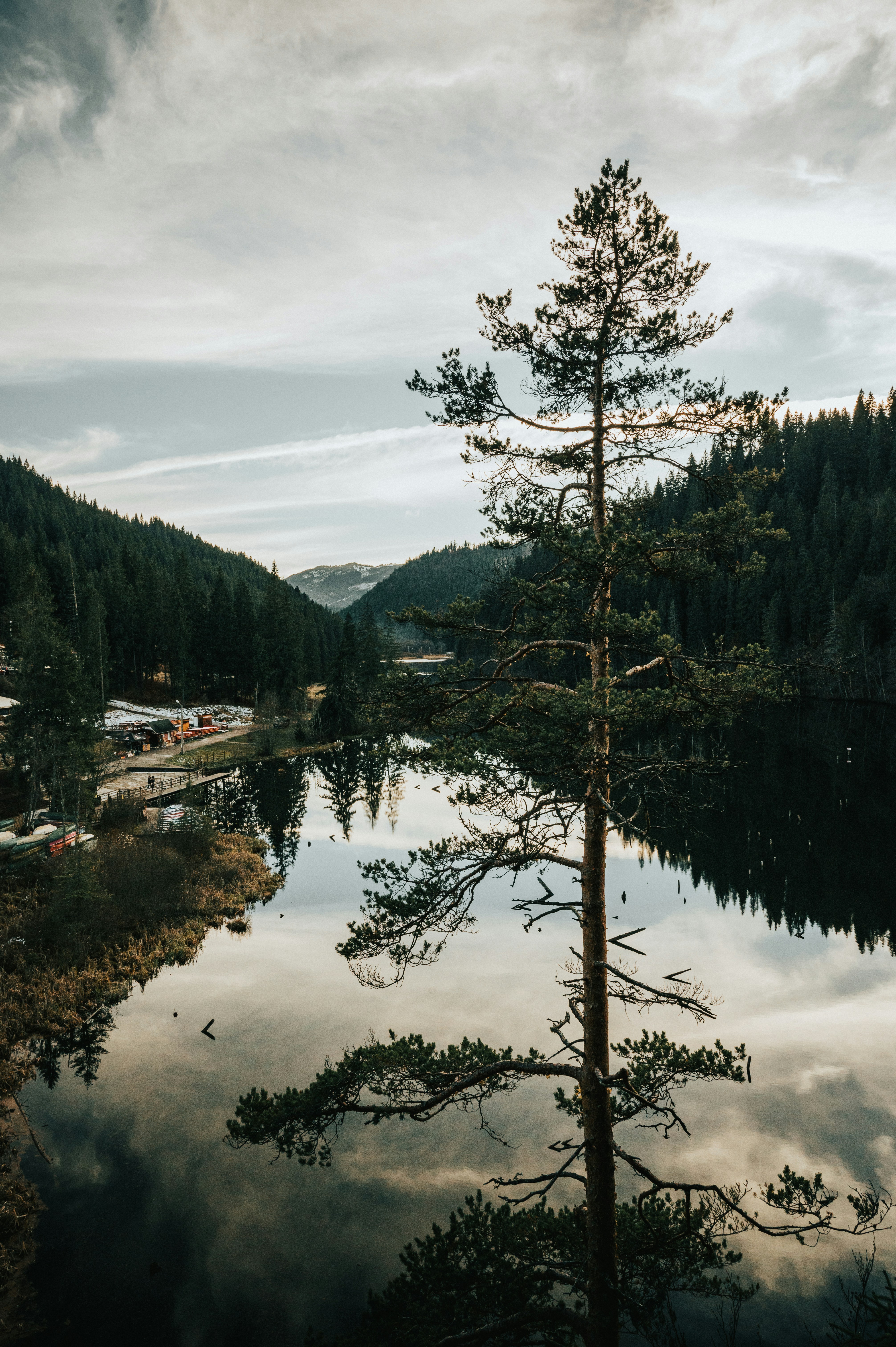 Photo by tamas_tuzeskatai