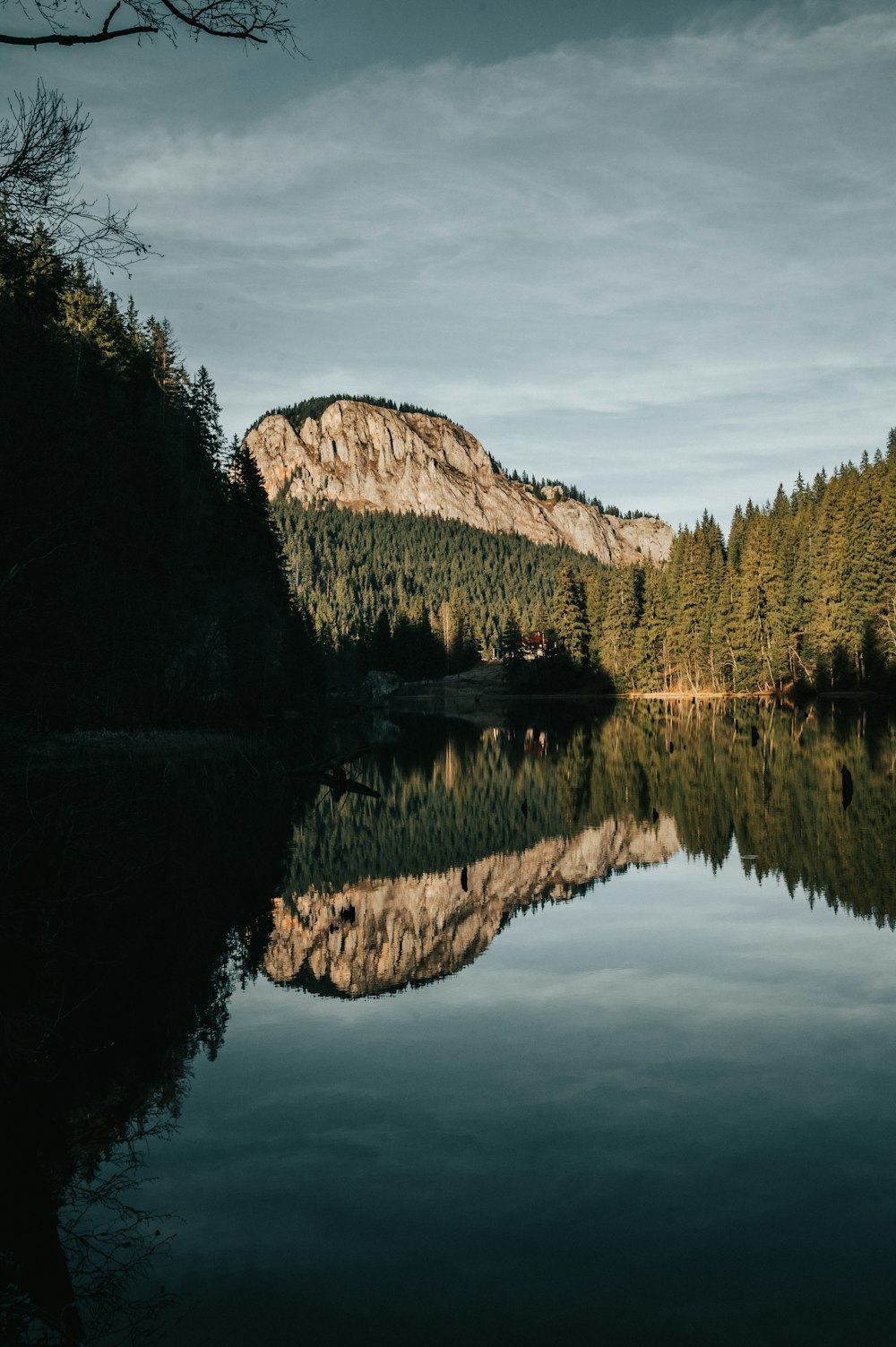 a body of water surrounded by a forest