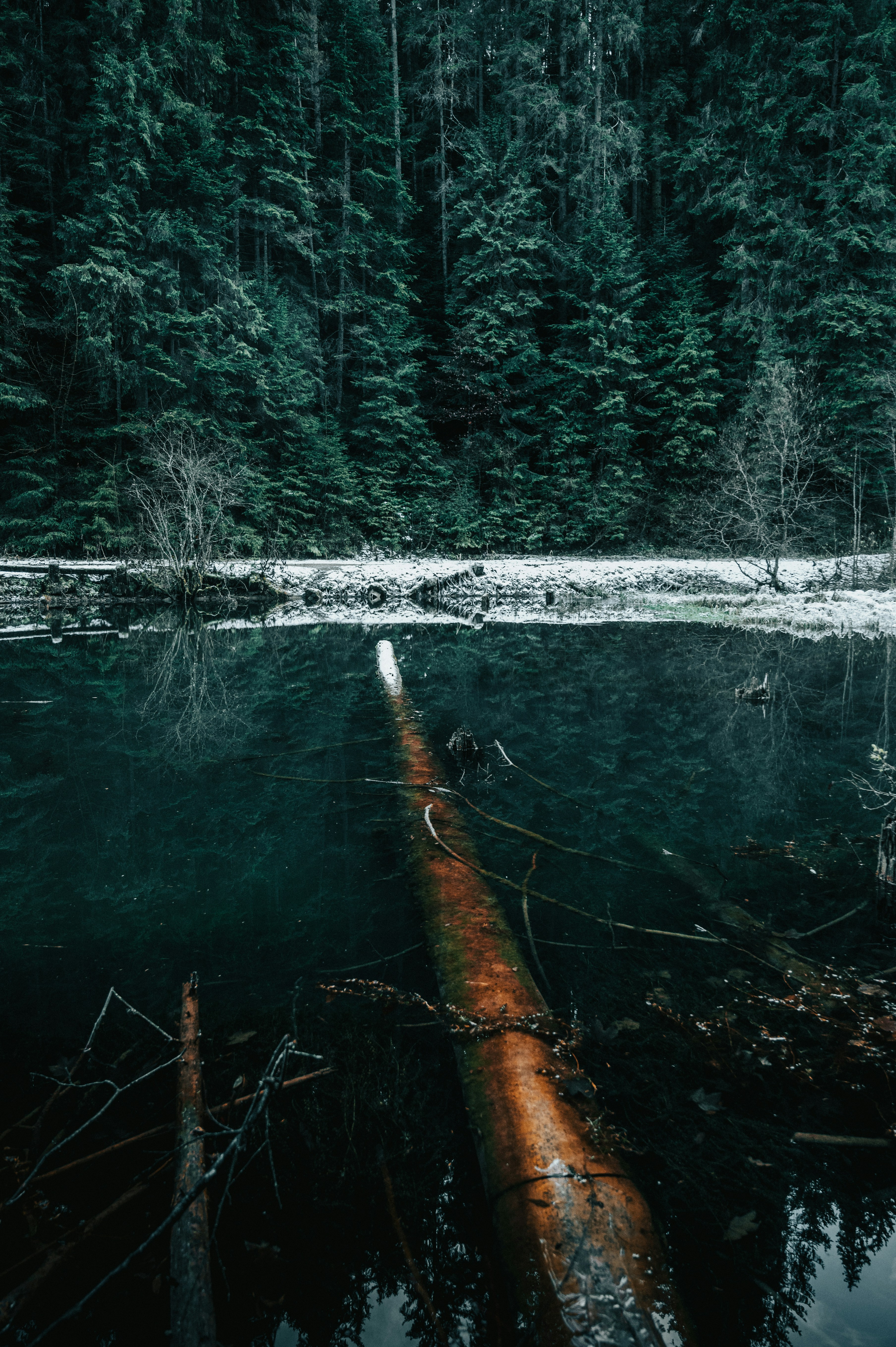 Photo by tamas_tuzeskatai