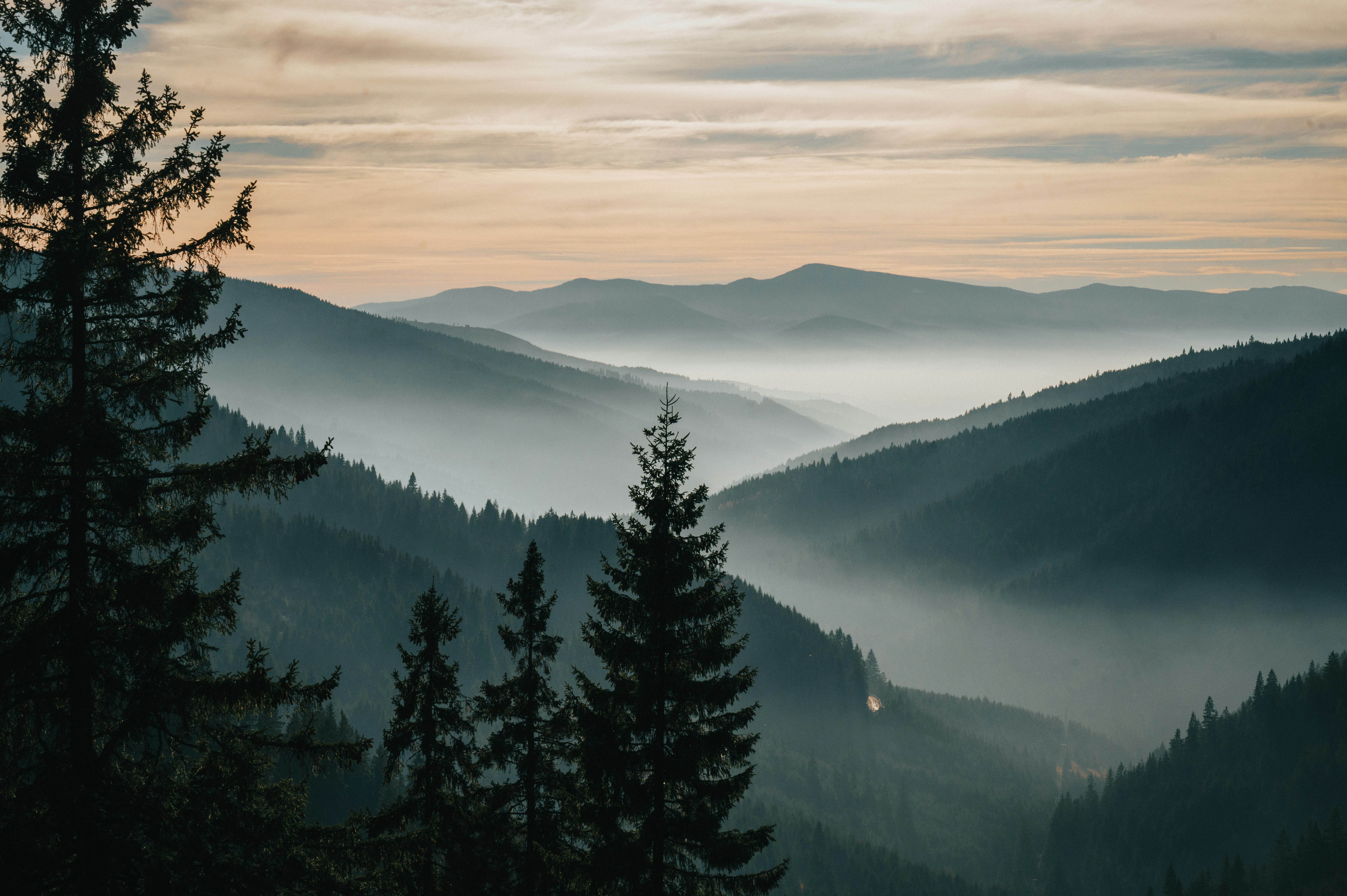 Photo by tamas_tuzeskatai