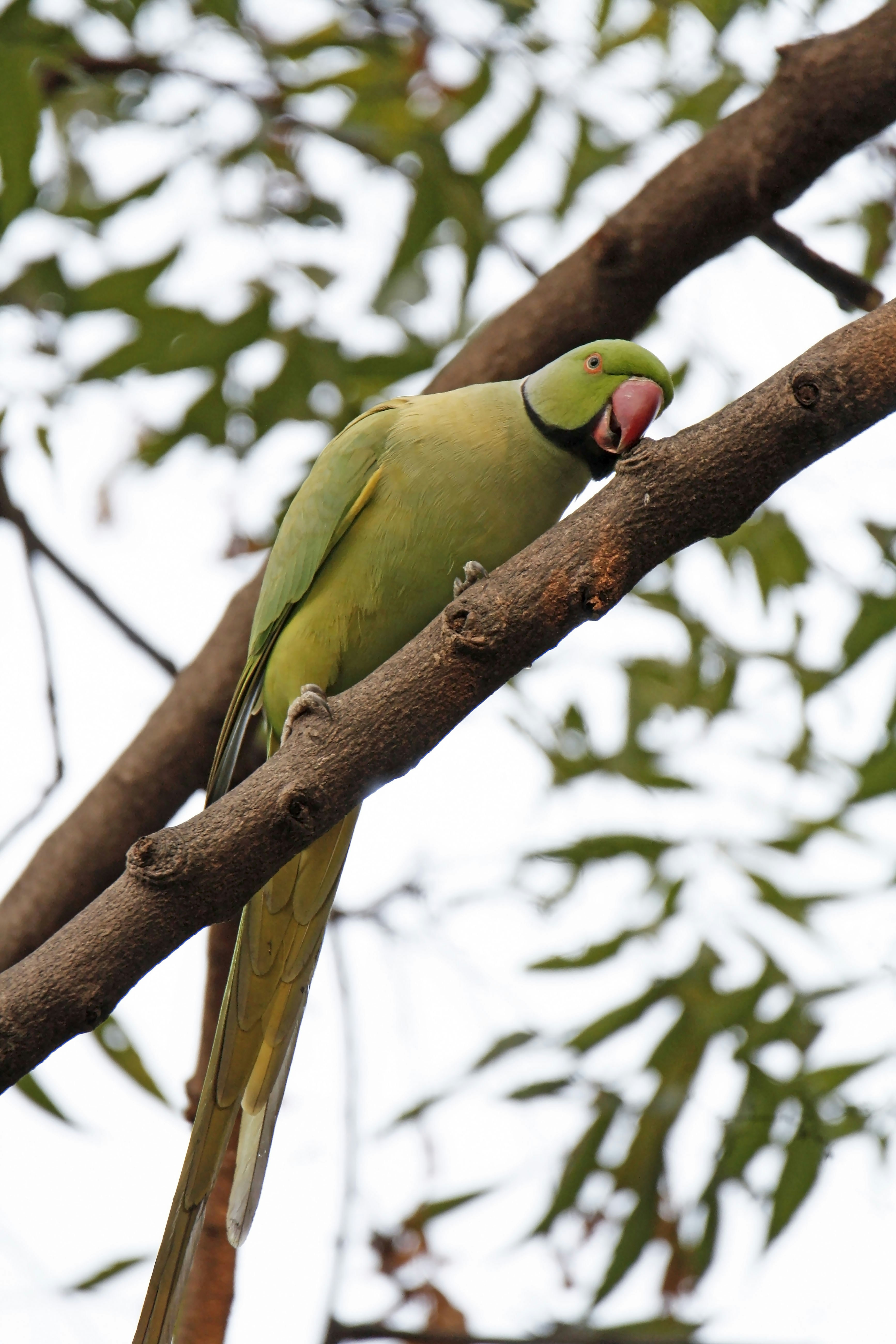 Photo by sylvester_123