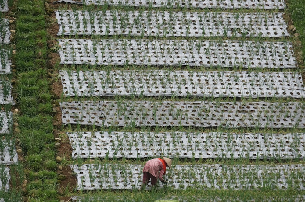 a man is working in a field of grass