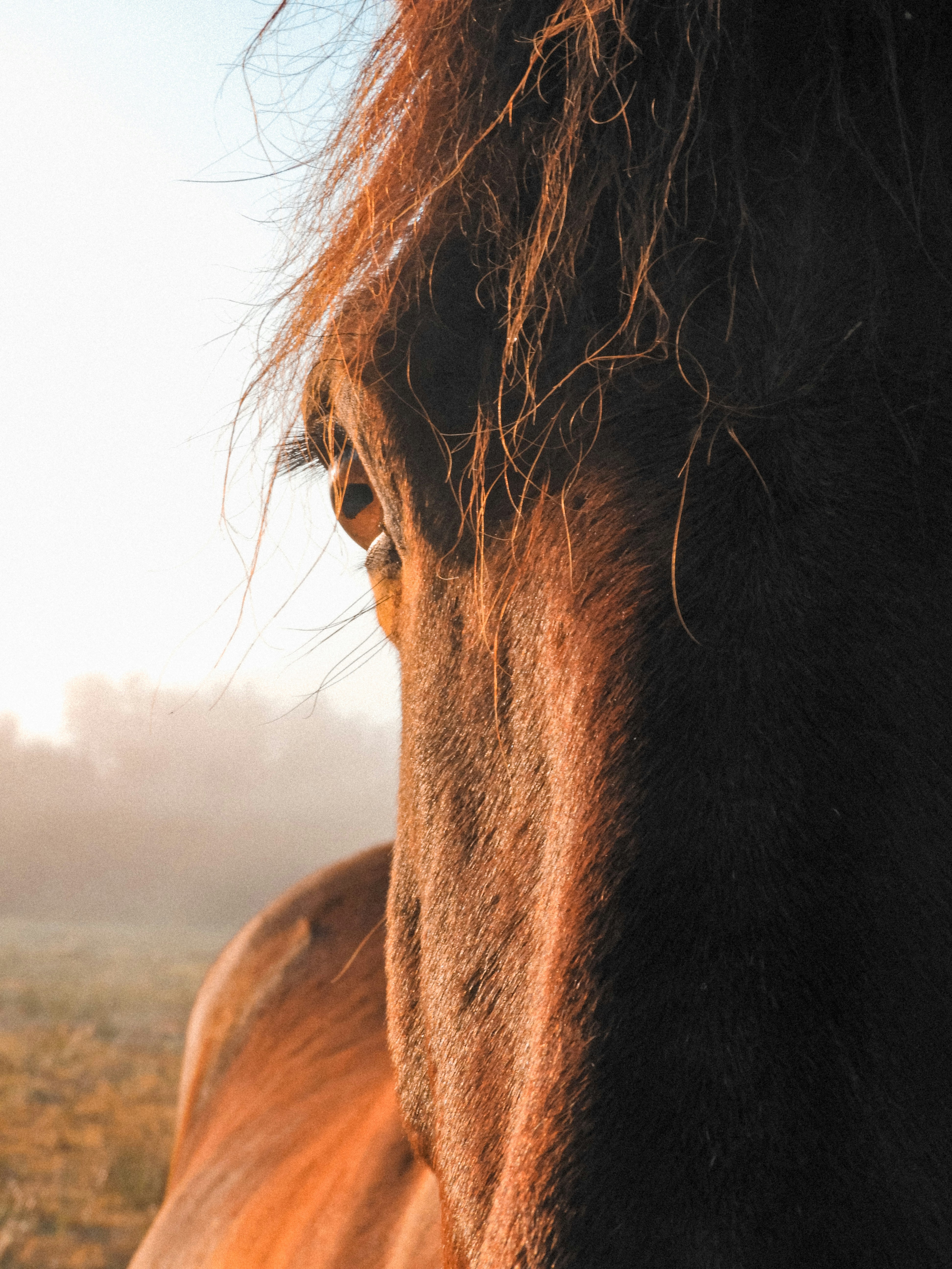 Photo by ombelinelpc