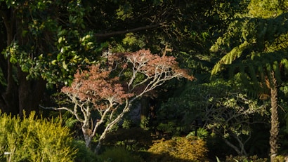 Photo 1637079294536 Abaabb60f1c8?q=85&w=410&h=335&fit=crop