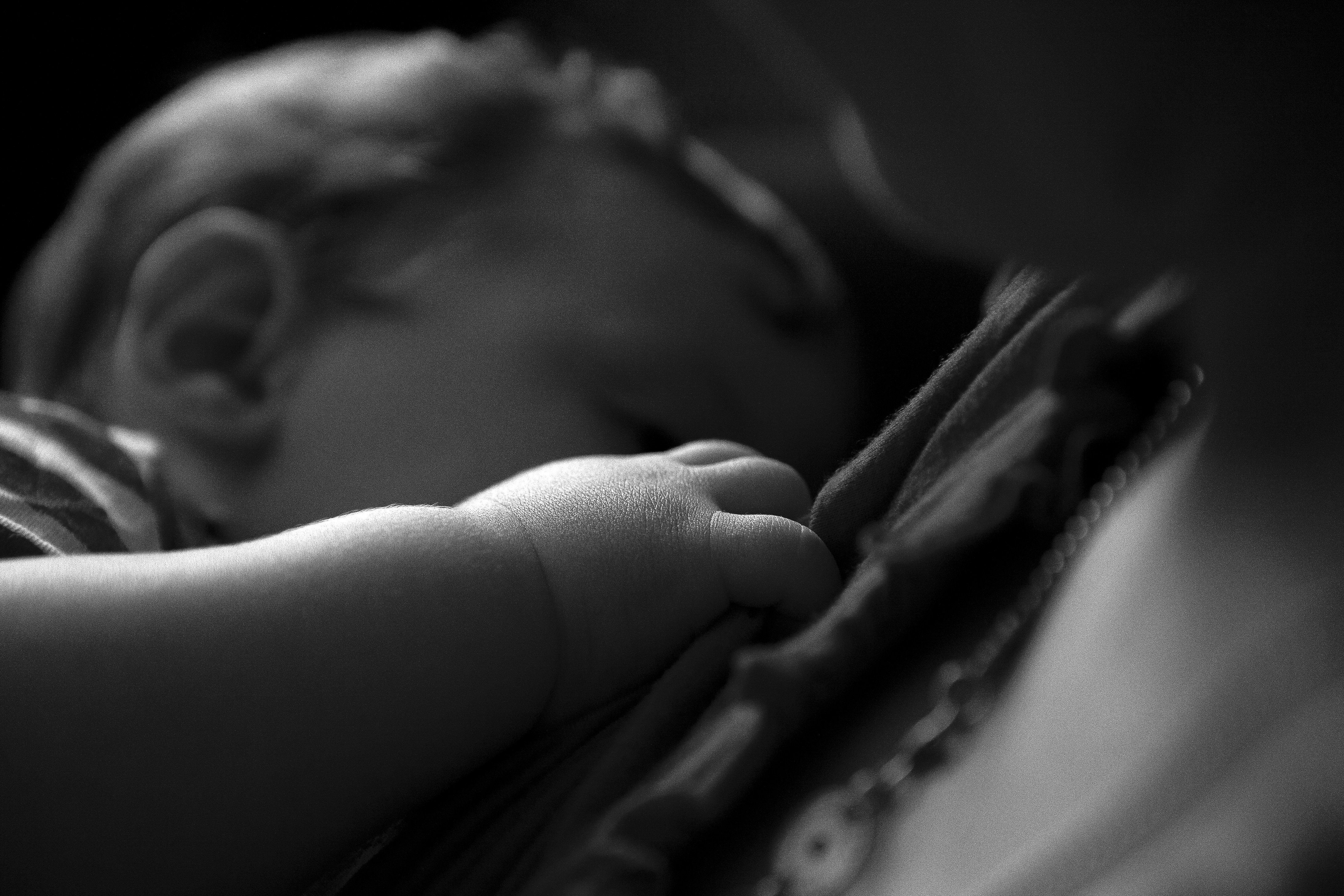 Photo by gabyfishmanfosbery