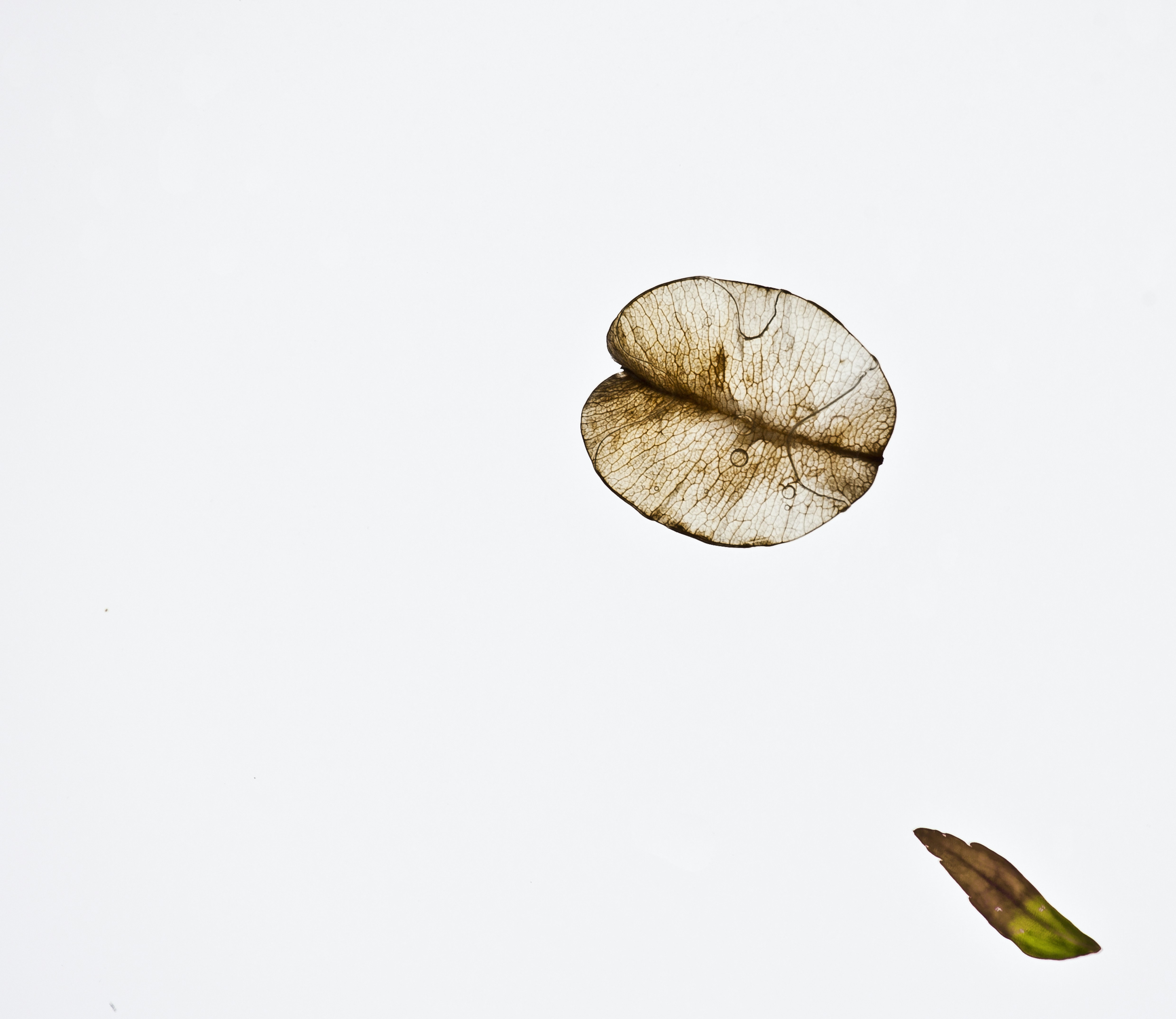 Photo by gabyfishmanfosbery