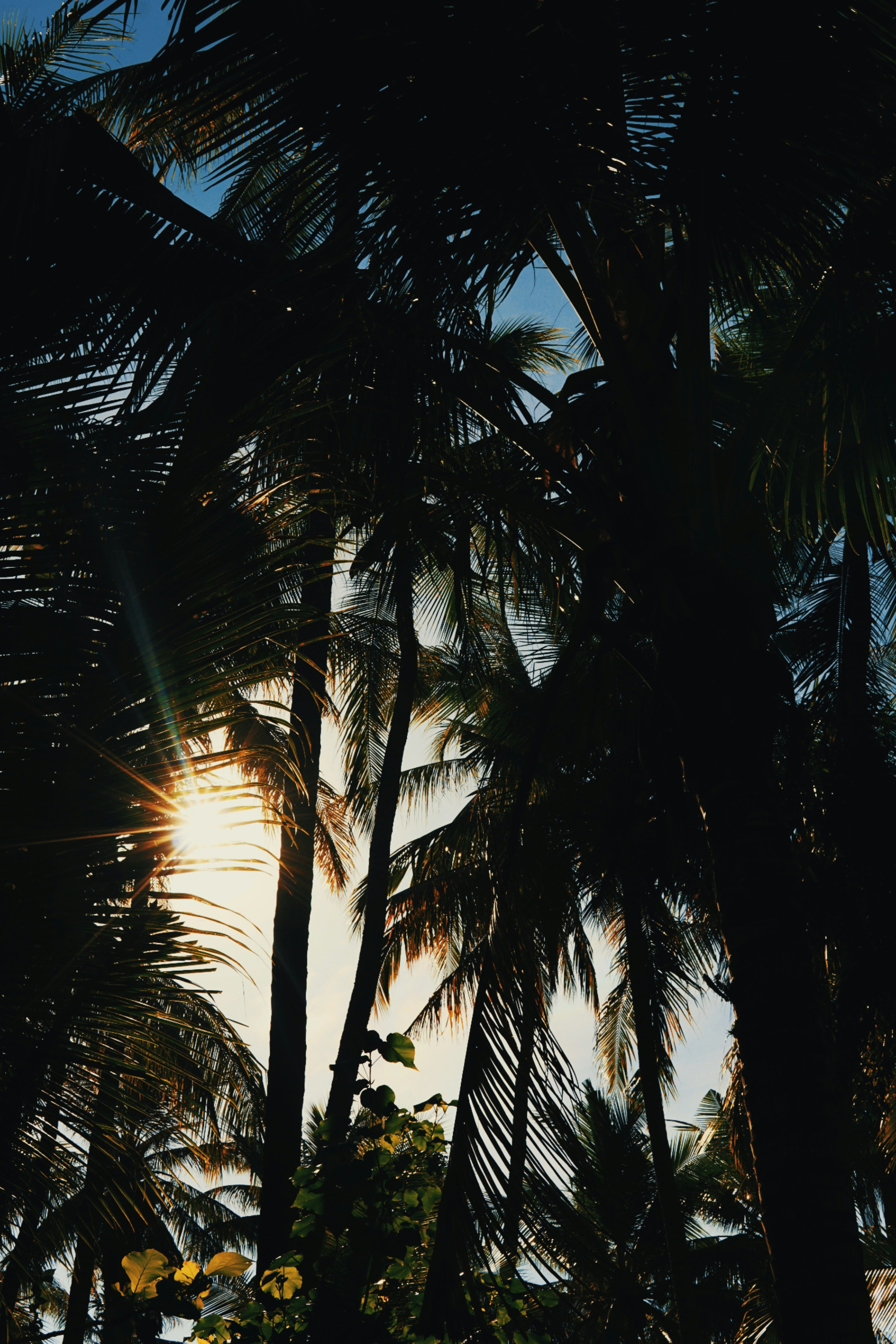 Photo by yosiko_diarta1