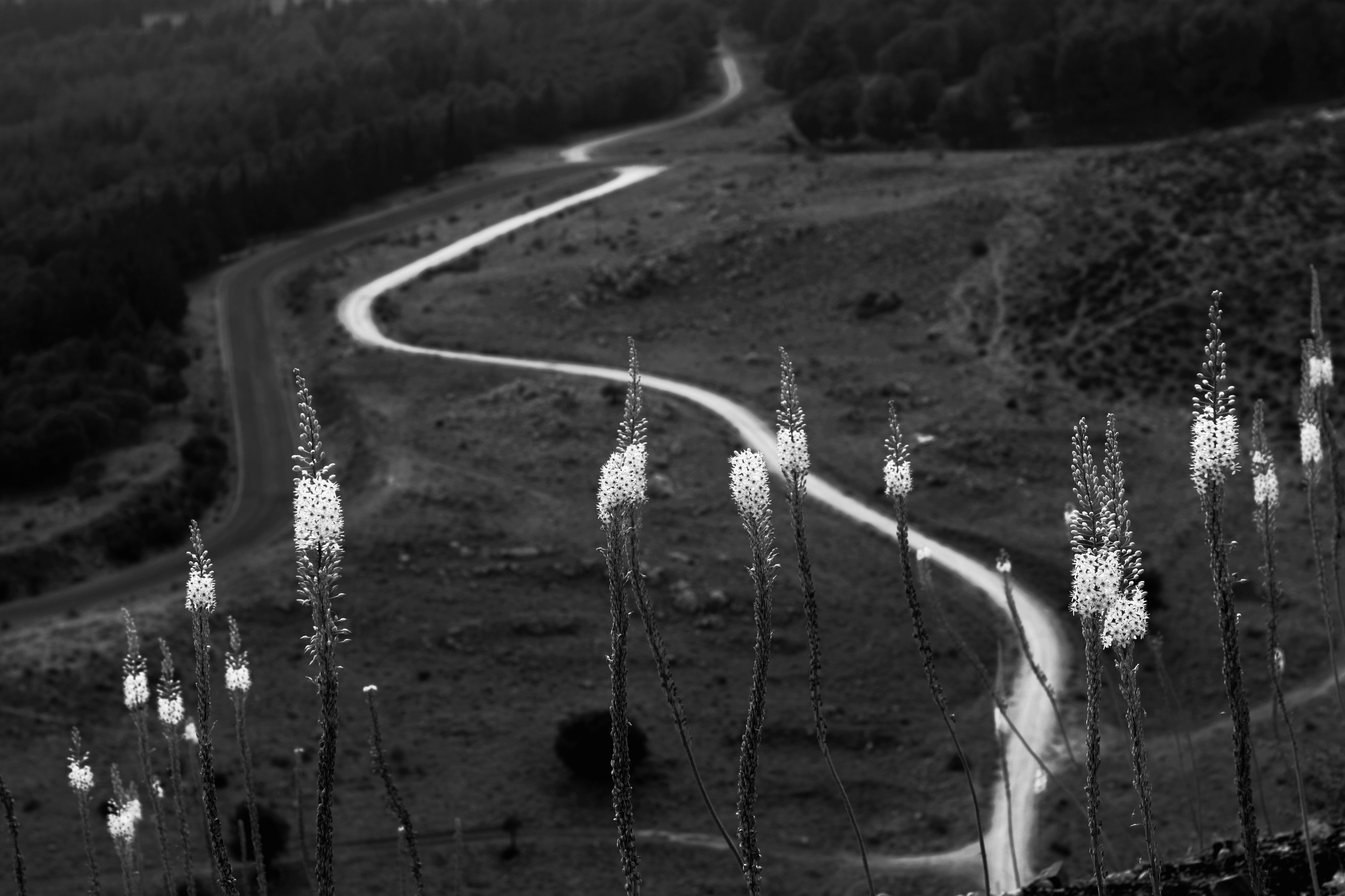 Photo by gabyfishmanfosbery