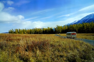 A spacious 15-passenger van cruising along a Montana highway with mountains in the background.