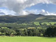 A panoramic view of rolling hills and lots with scattered trees under a cloudy sky.