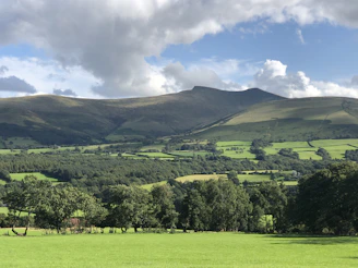 A panoramic view of rolling hills and lots with scattered trees under a cloudy sky.