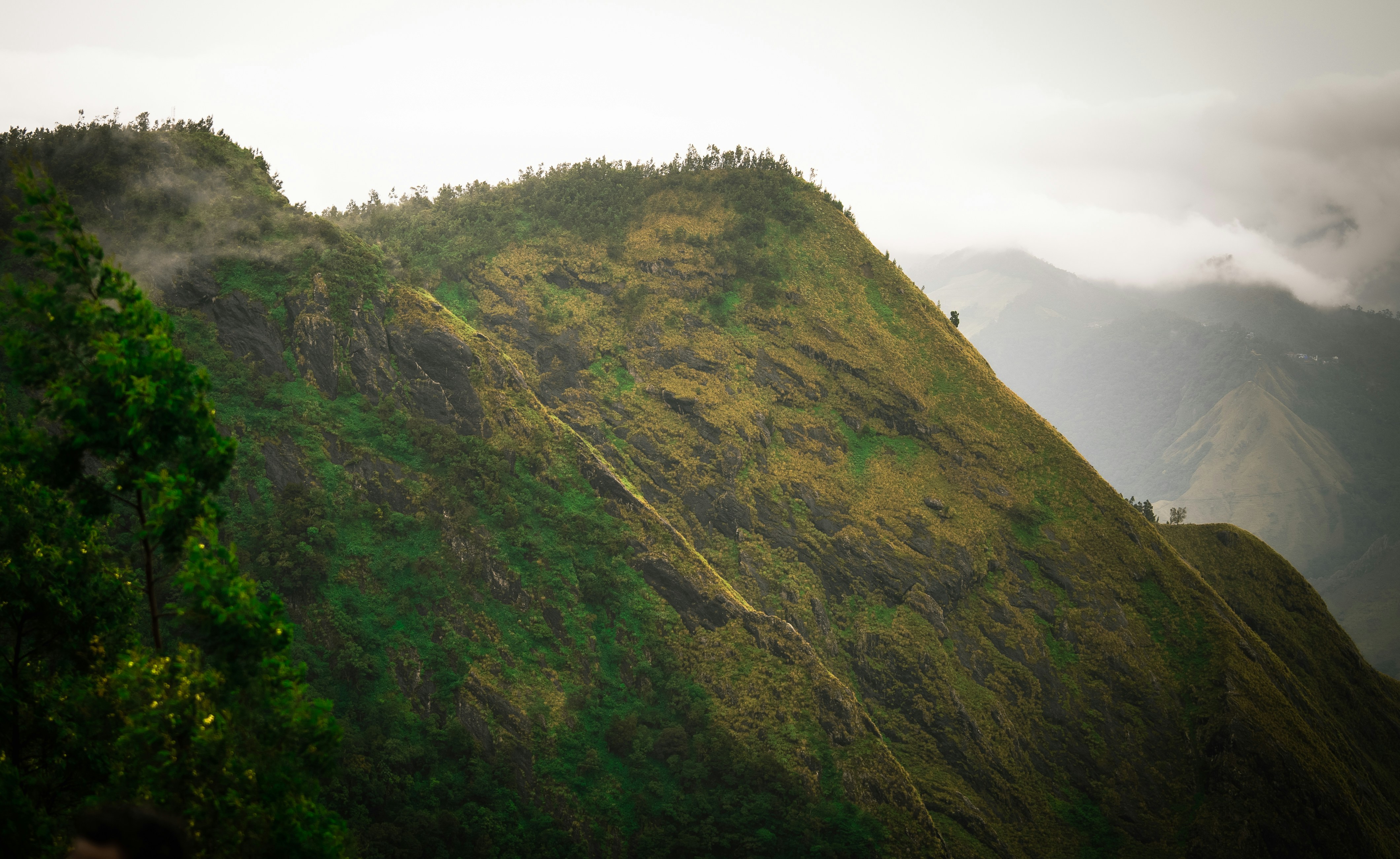 Photo by giginkrishnan