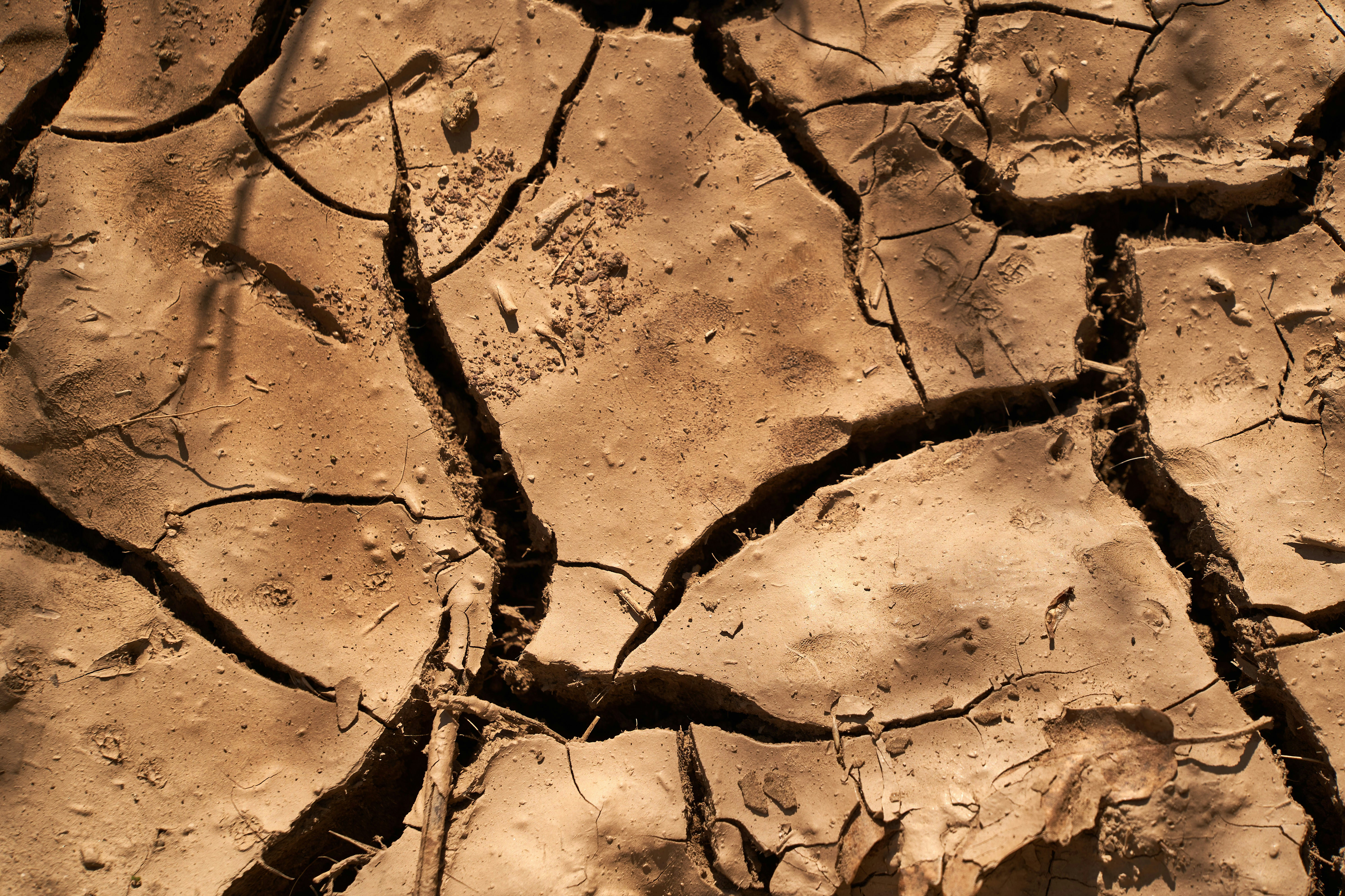 Cracked earth from extreme heat