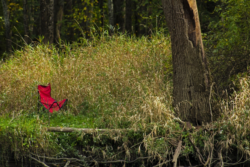 a red umbrella sitting in the grass next to a tree