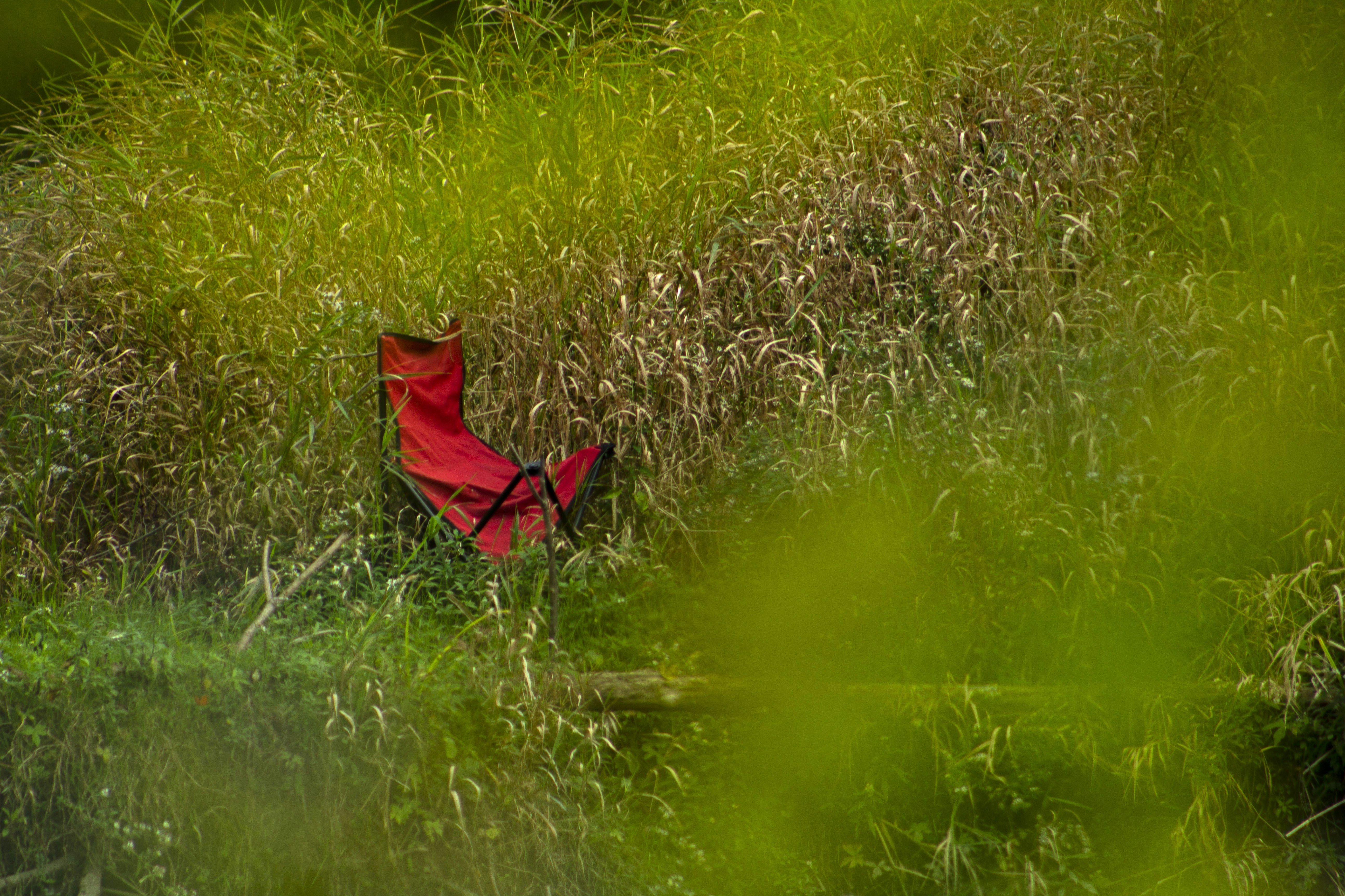 Ein roter Stuhl sitzt auf einem Feld mit hohem Gras