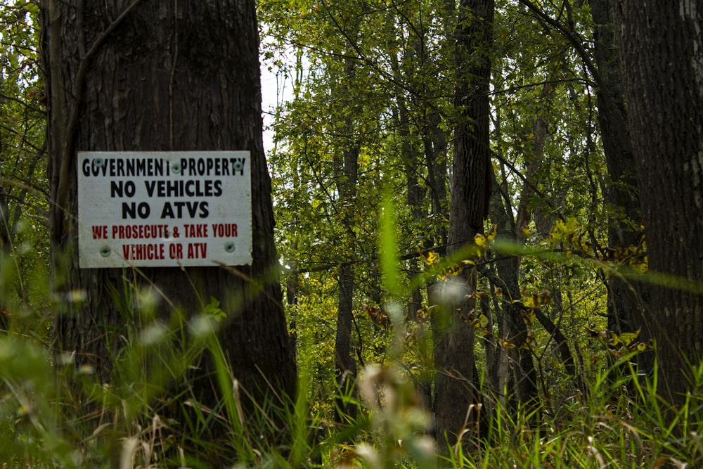 a sign is posted on a tree in the woods