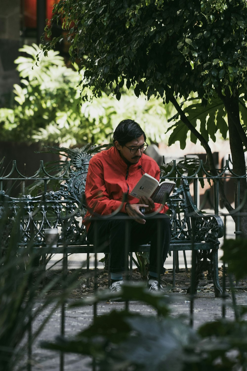 uma mulher sentada em um banco lendo um livro