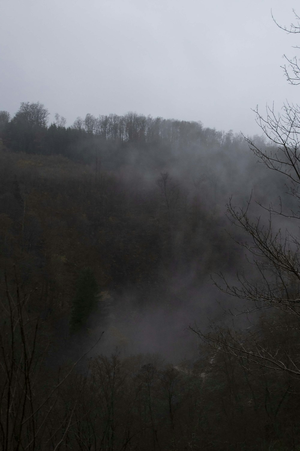 a foggy mountain with trees and a hill in the background