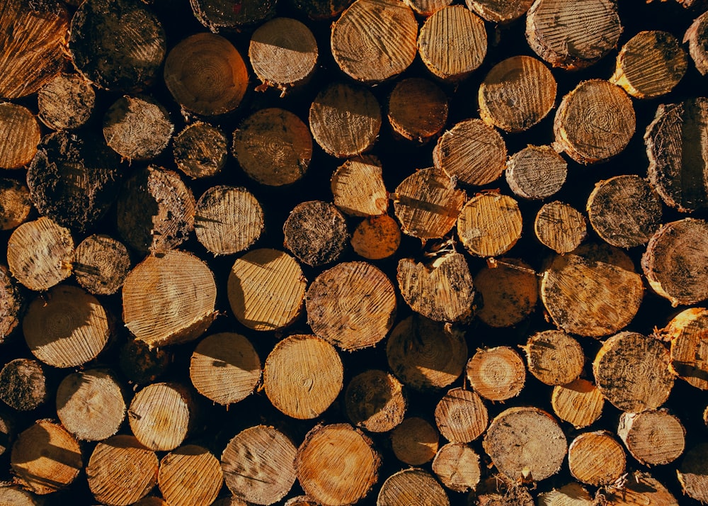 a pile of cut logs sitting next to each other