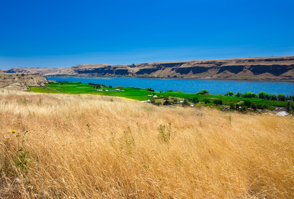 a grassy field with a lake in the background