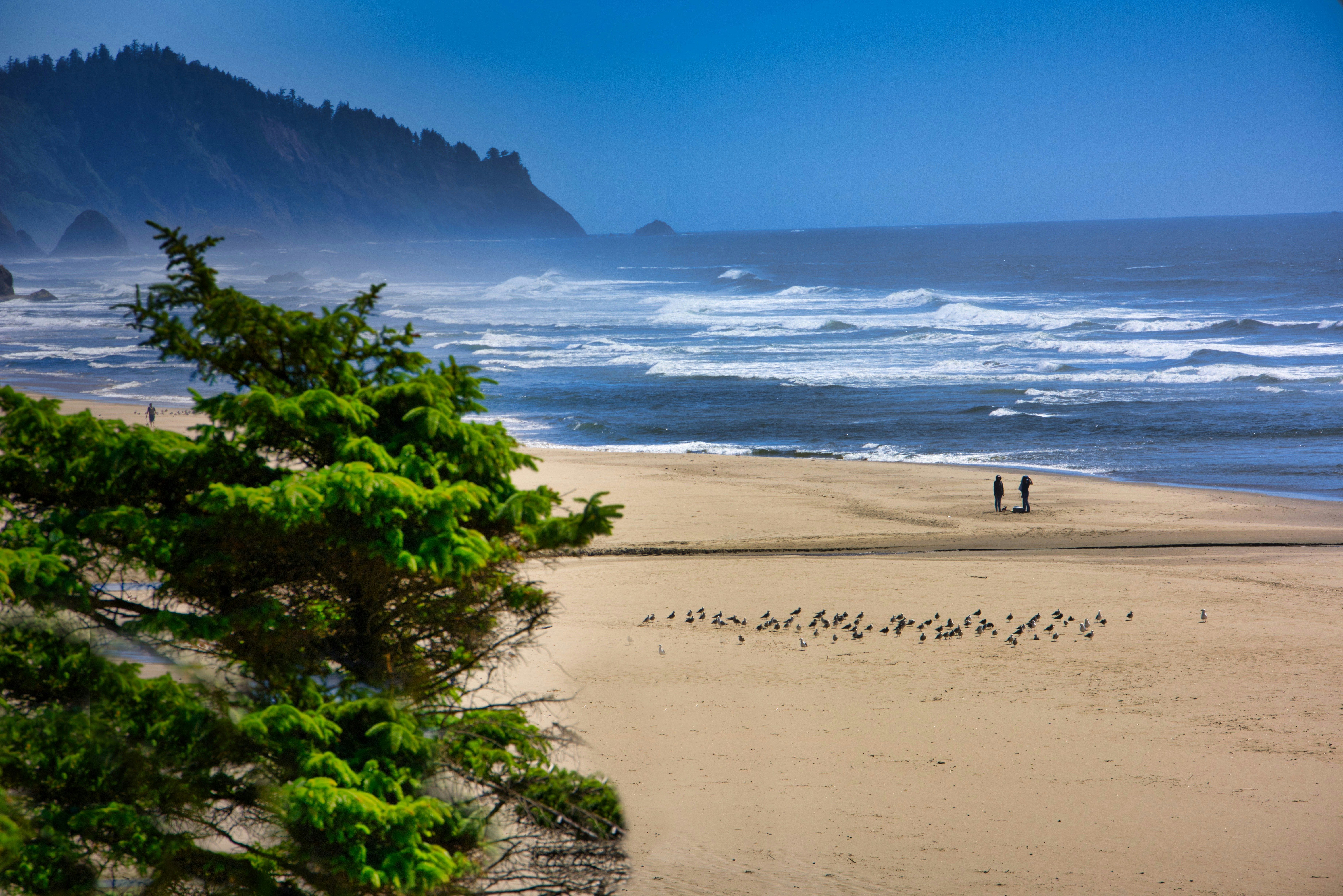 🌲The Best AIRBNB Investment Locations in Oregon 