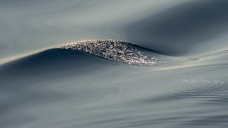 A serene ocean wave symbolizing guidance and clarity.