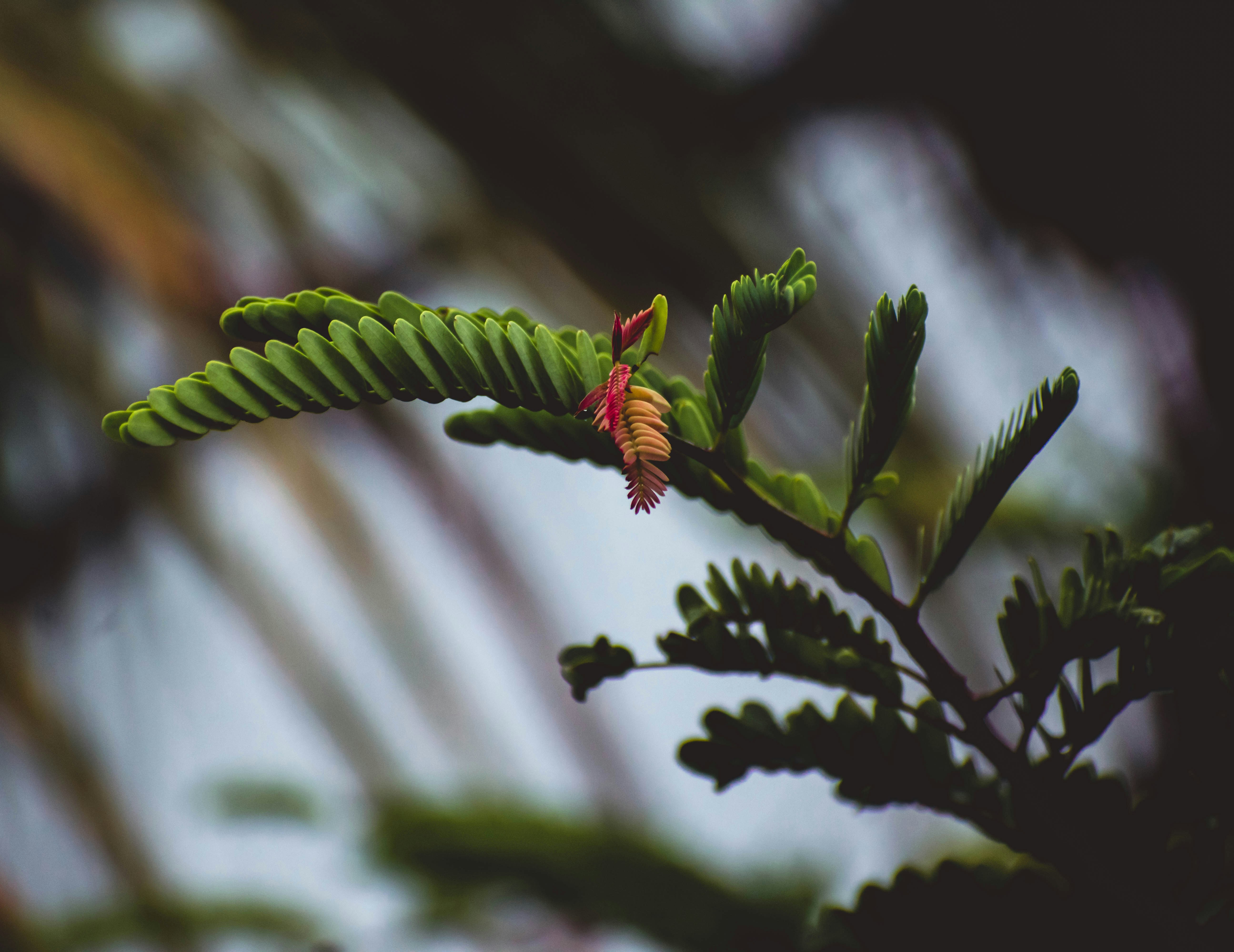 Photo by abhi05