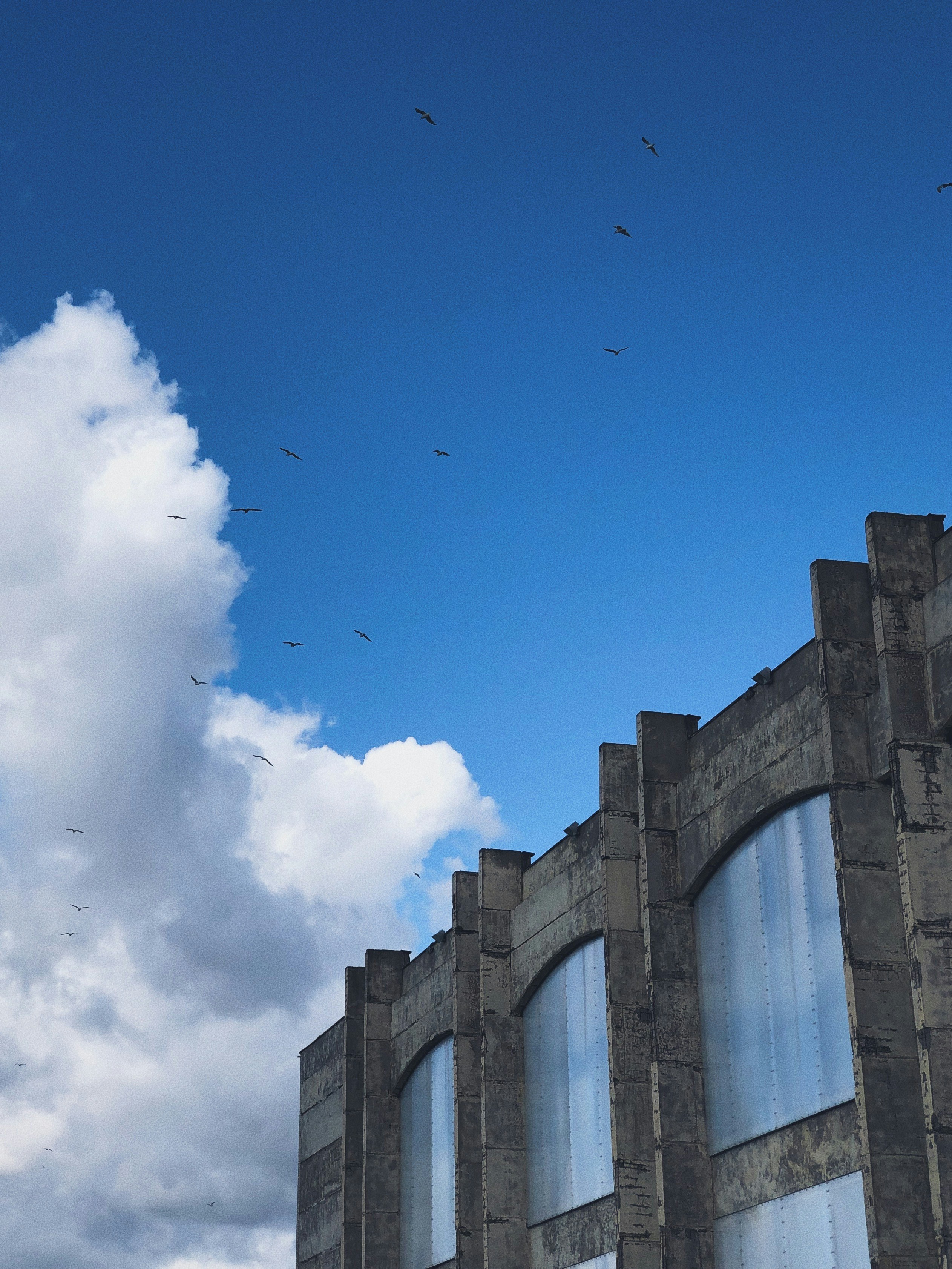 Photo by eddie_hollywood