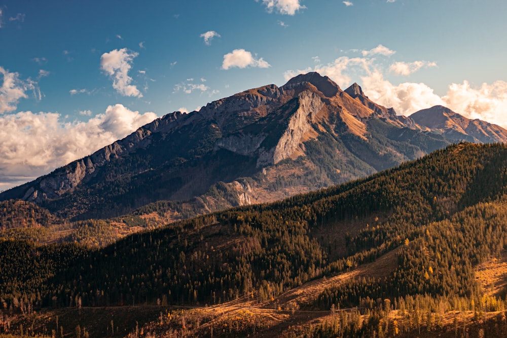 a view of a mountain range with trees in the foreground