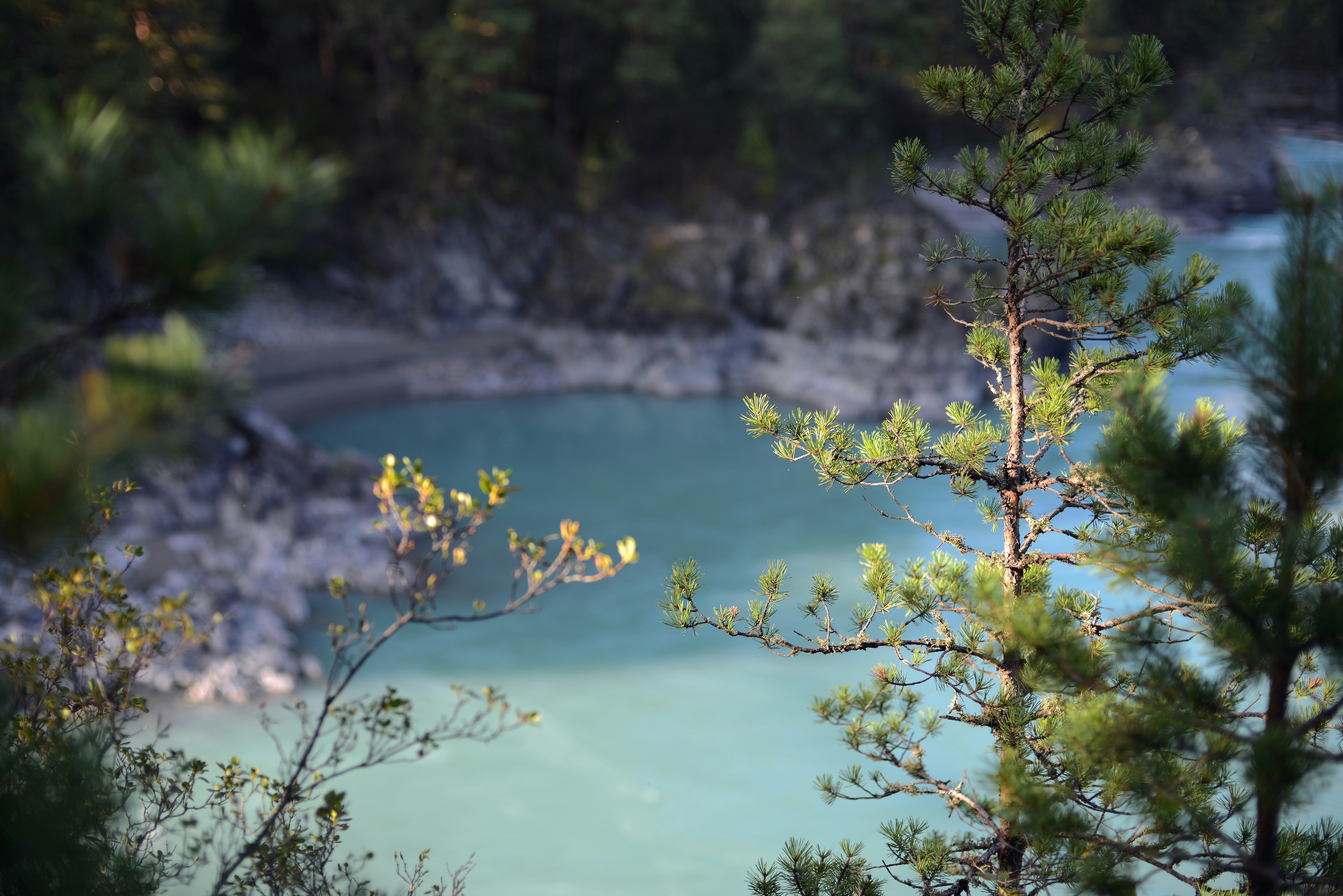 a view of a lake through some trees