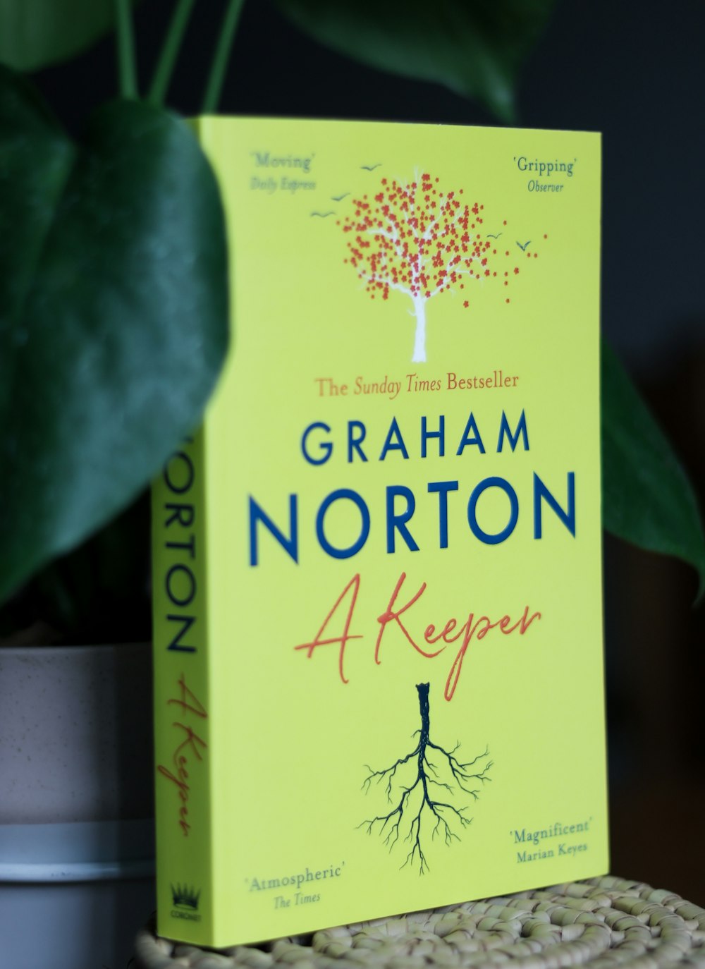 a yellow book sitting on top of a table next to a potted plant