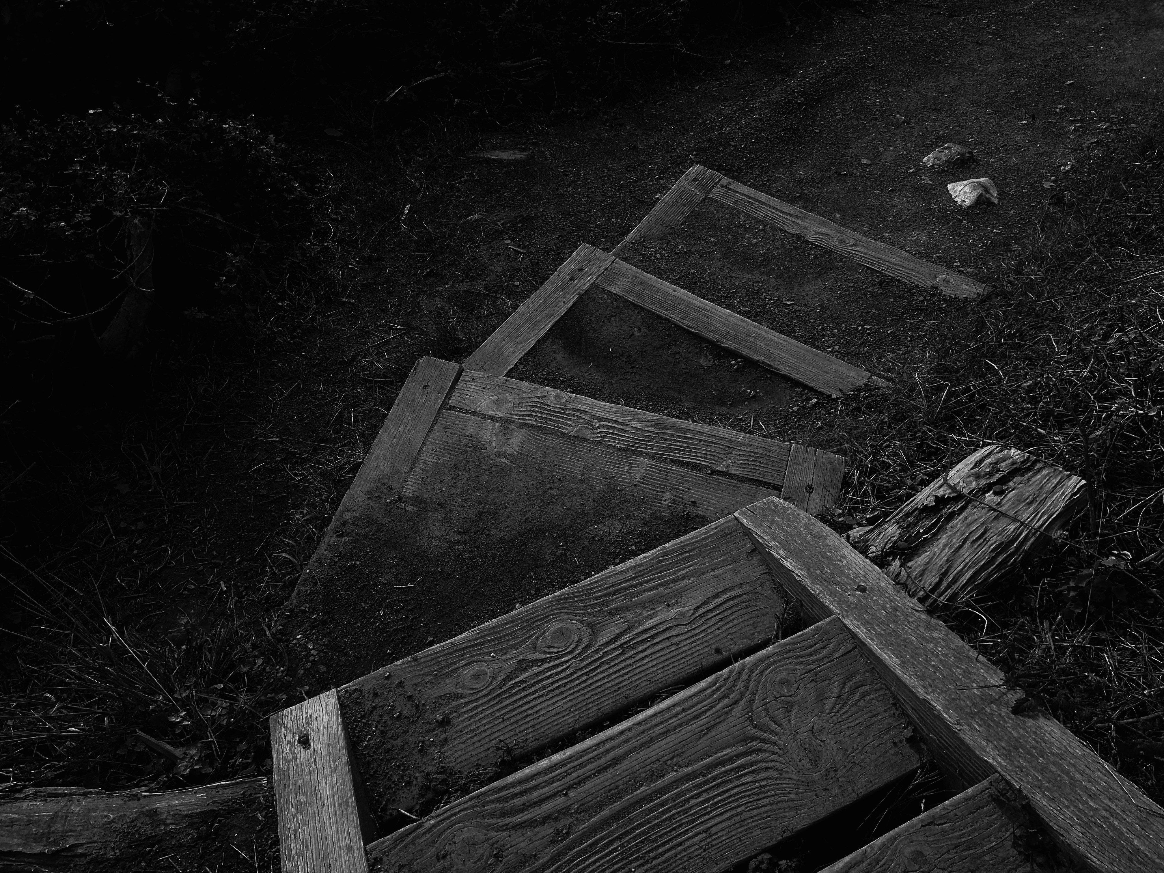 Photo by levimeirclancy