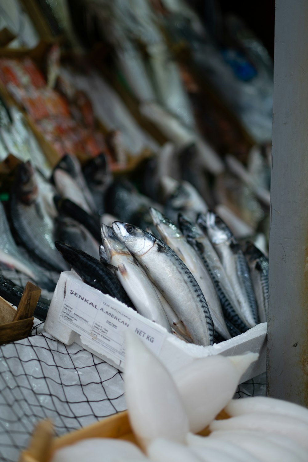 a bunch of fish that are on a table