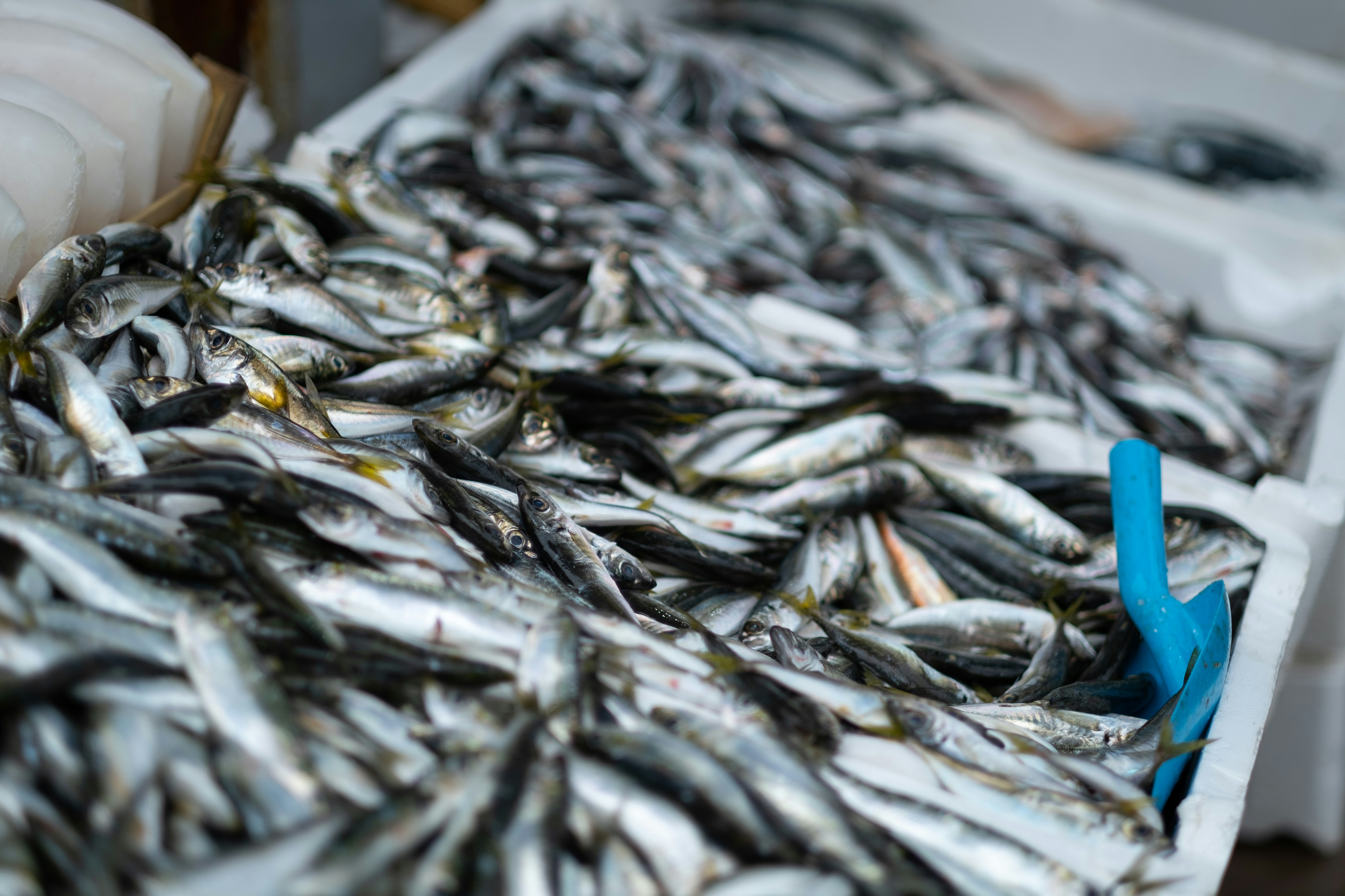 Photo by levimeirclancy