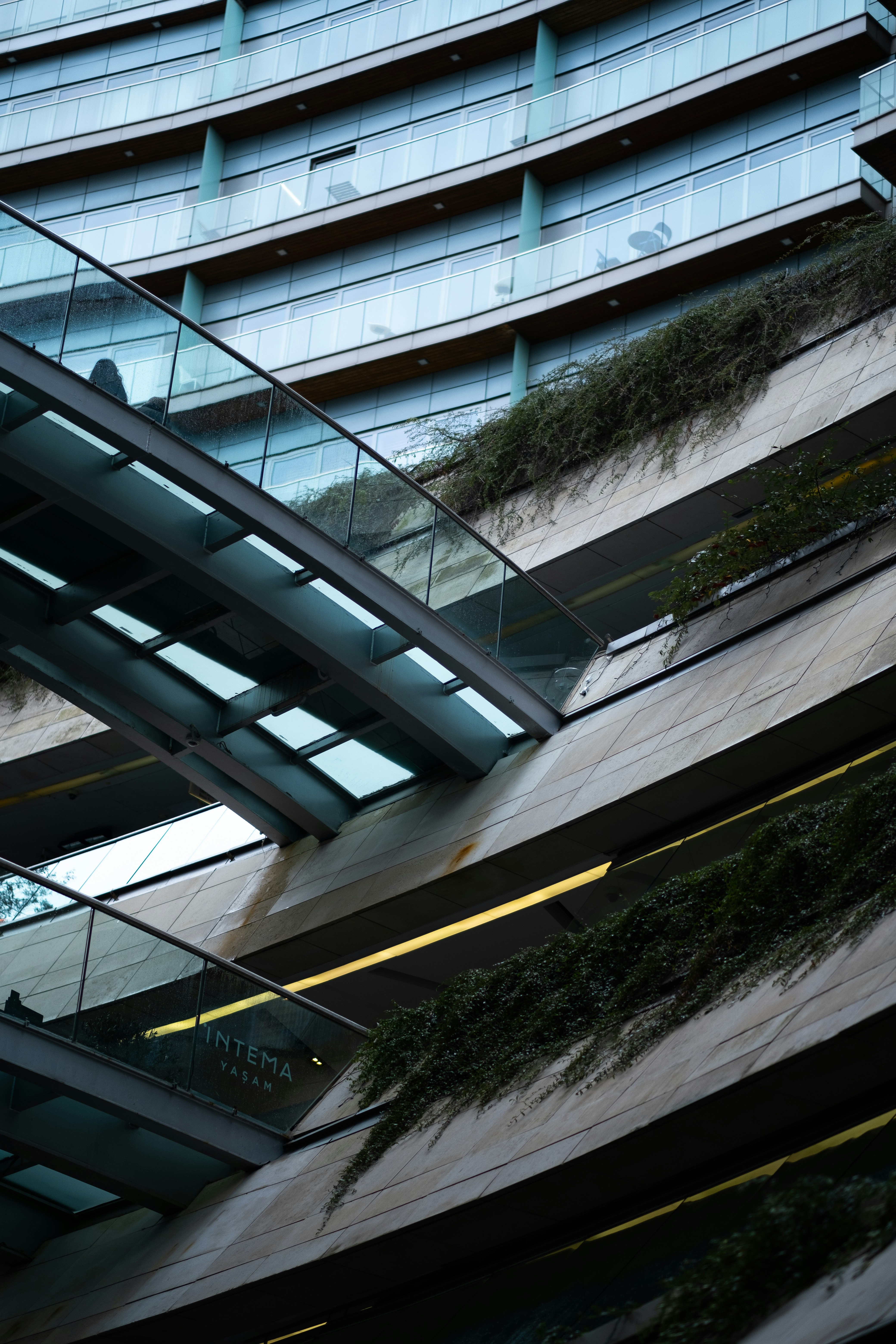 Photo by levimeirclancy