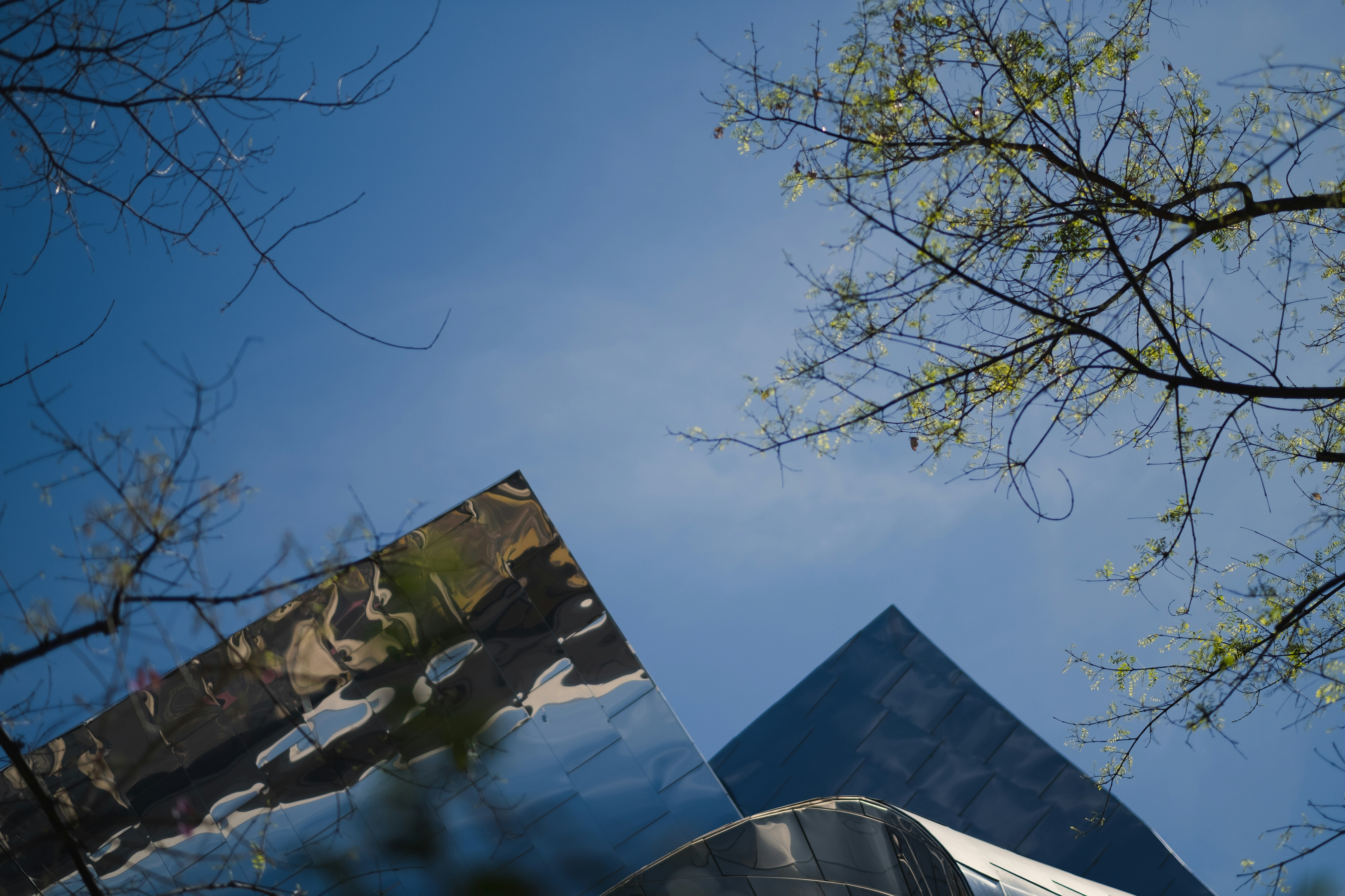Walt Disney Concert Hall