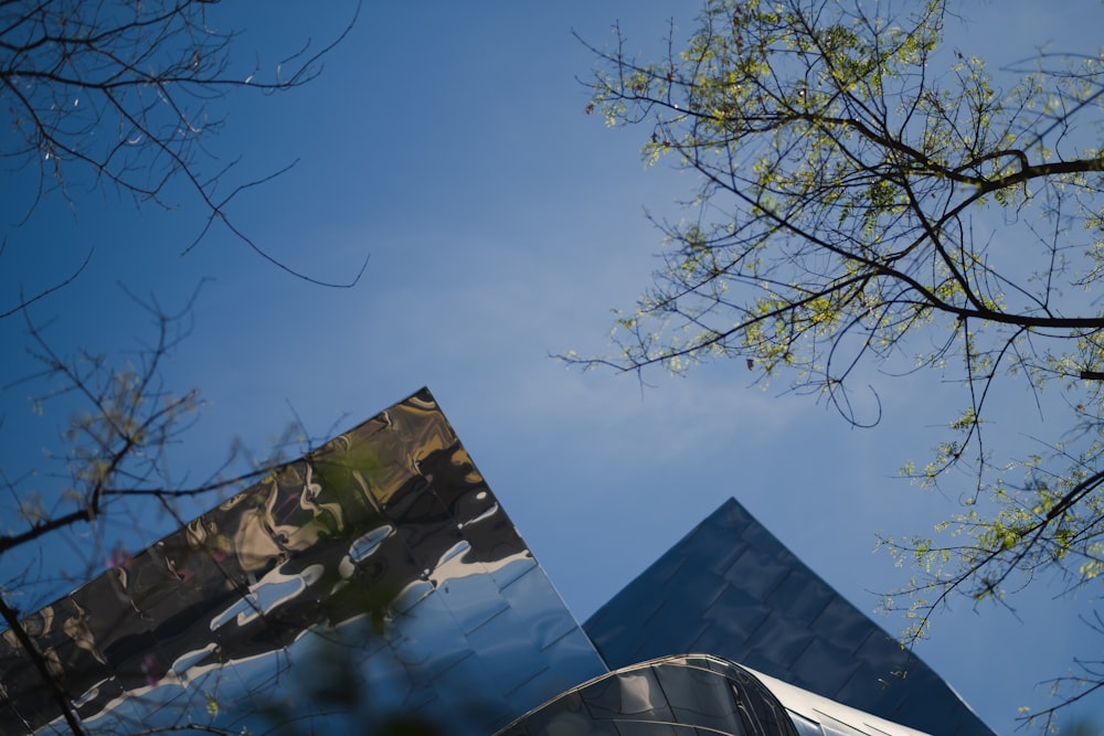 a picture of a building and a tree in front of it