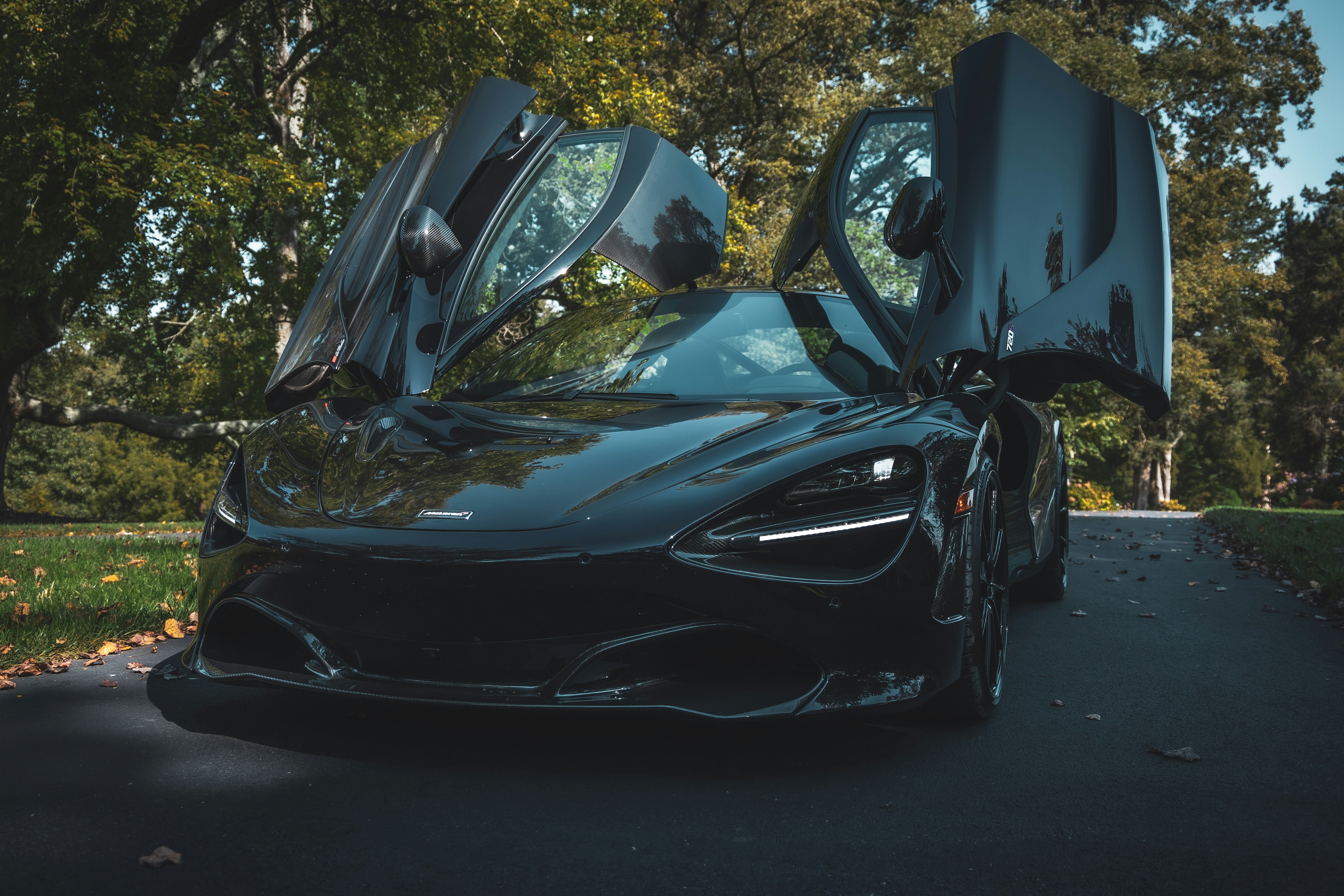 Photo by philip_blank