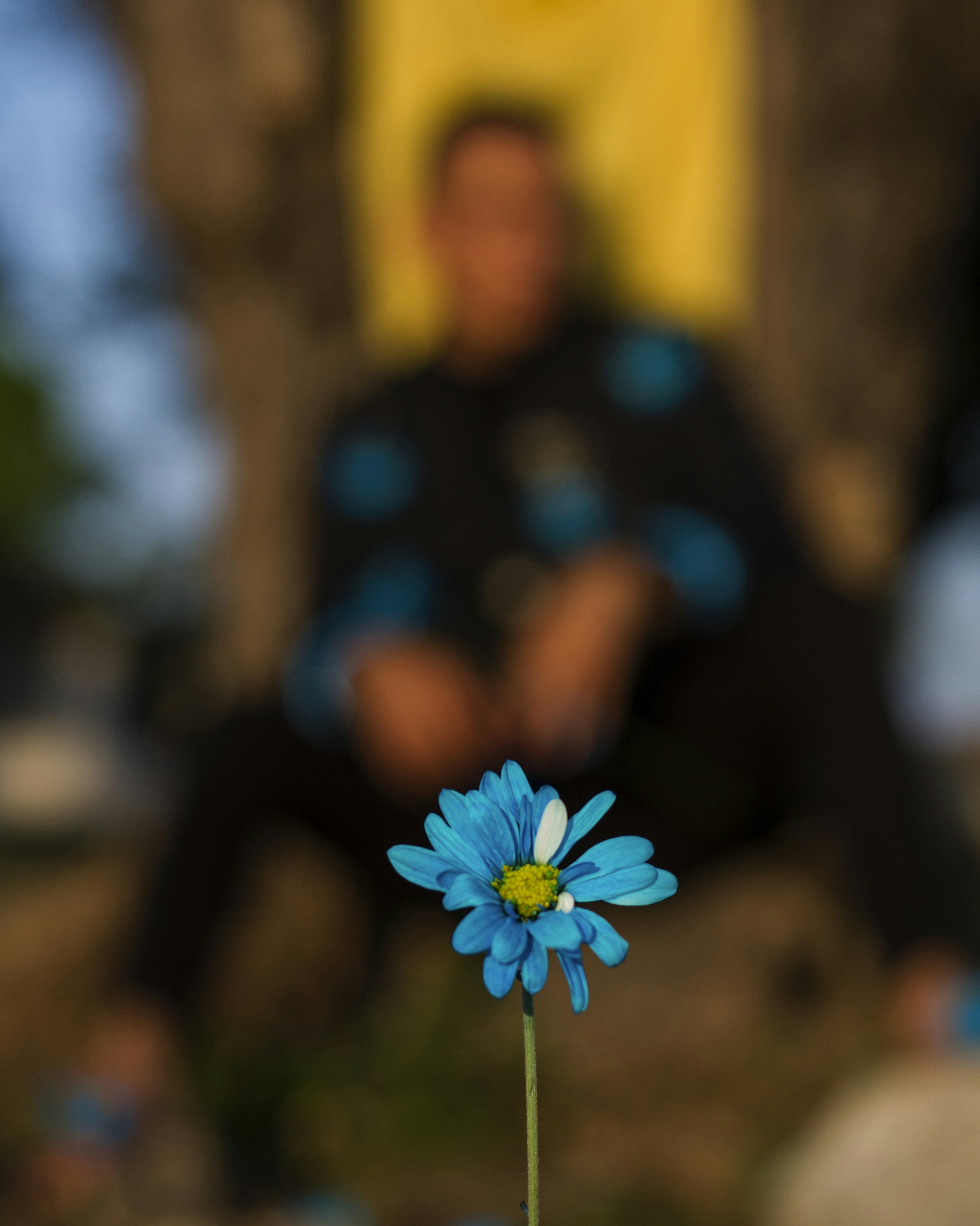 Un primer plano de una flor