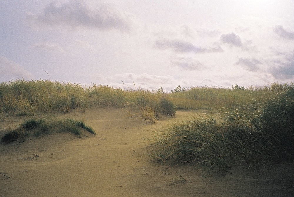 a sandy beach with grass and clouds in the background