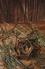 A hexagonal glass box with a metallic frame is open on a wooden surface. Inside, two rings rest on a bed of green moss, surrounded by delicate dried leaves. Pine needles and additional dried foliage are scattered around the box, which is set against a rustic wooden backdrop.