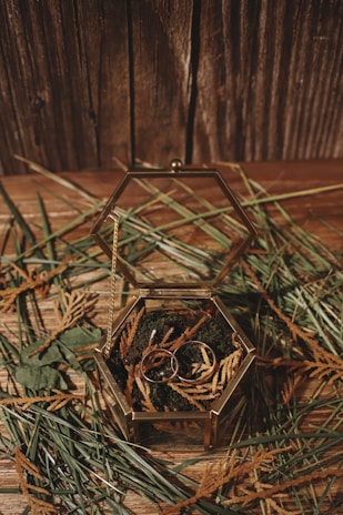A hexagonal glass box with a metallic frame is open on a wooden surface. Inside, two rings rest on a bed of green moss, surrounded by delicate dried leaves. Pine needles and additional dried foliage are scattered around the box, which is set against a rustic wooden backdrop.
